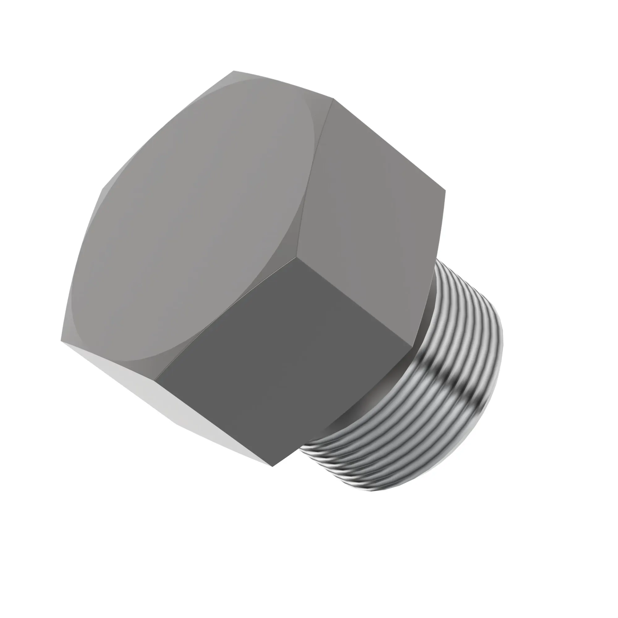 Fitting Plug