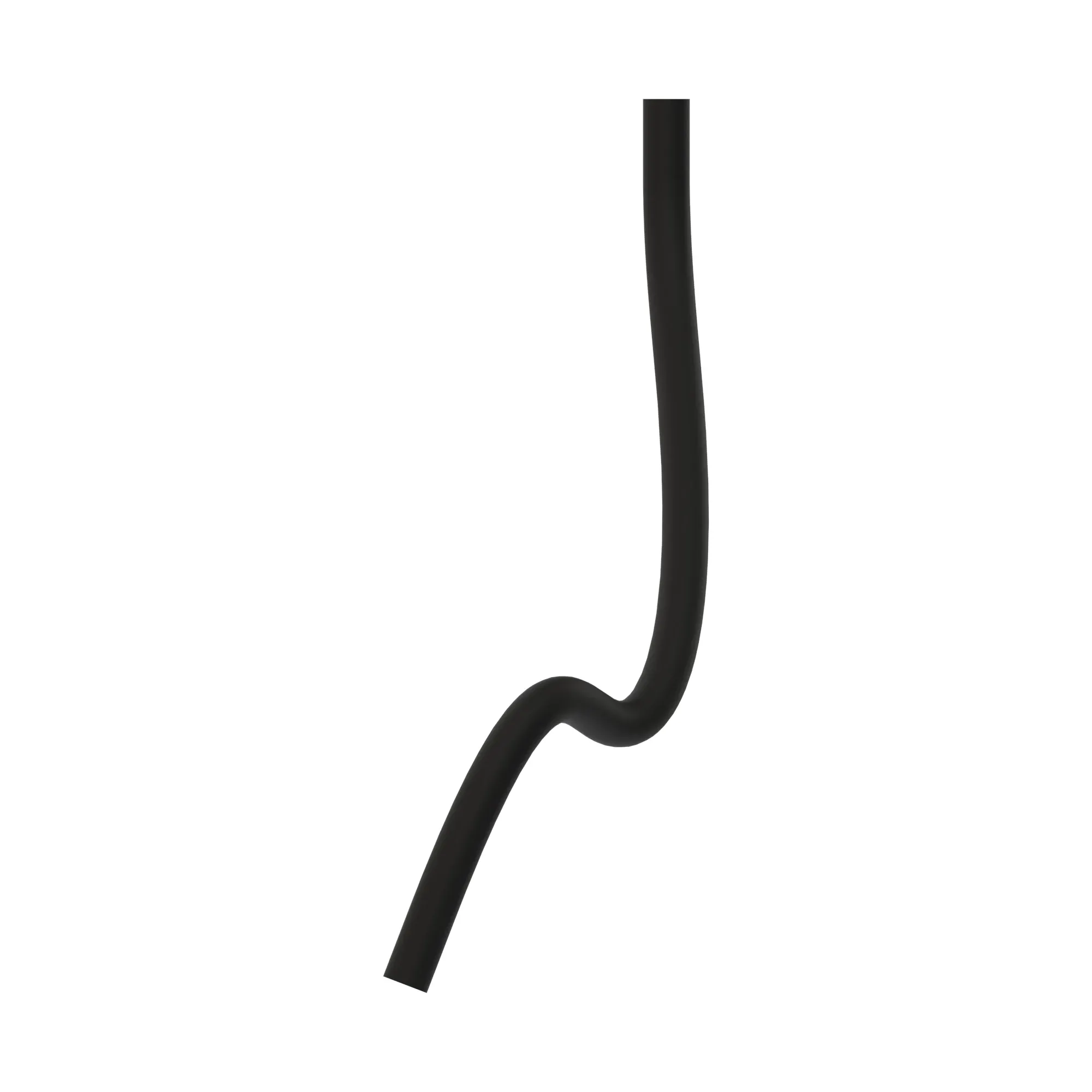 Hose