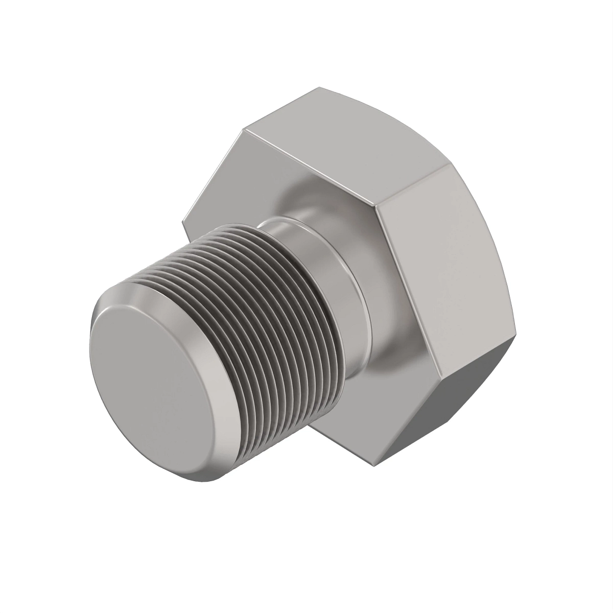 Fitting Plug