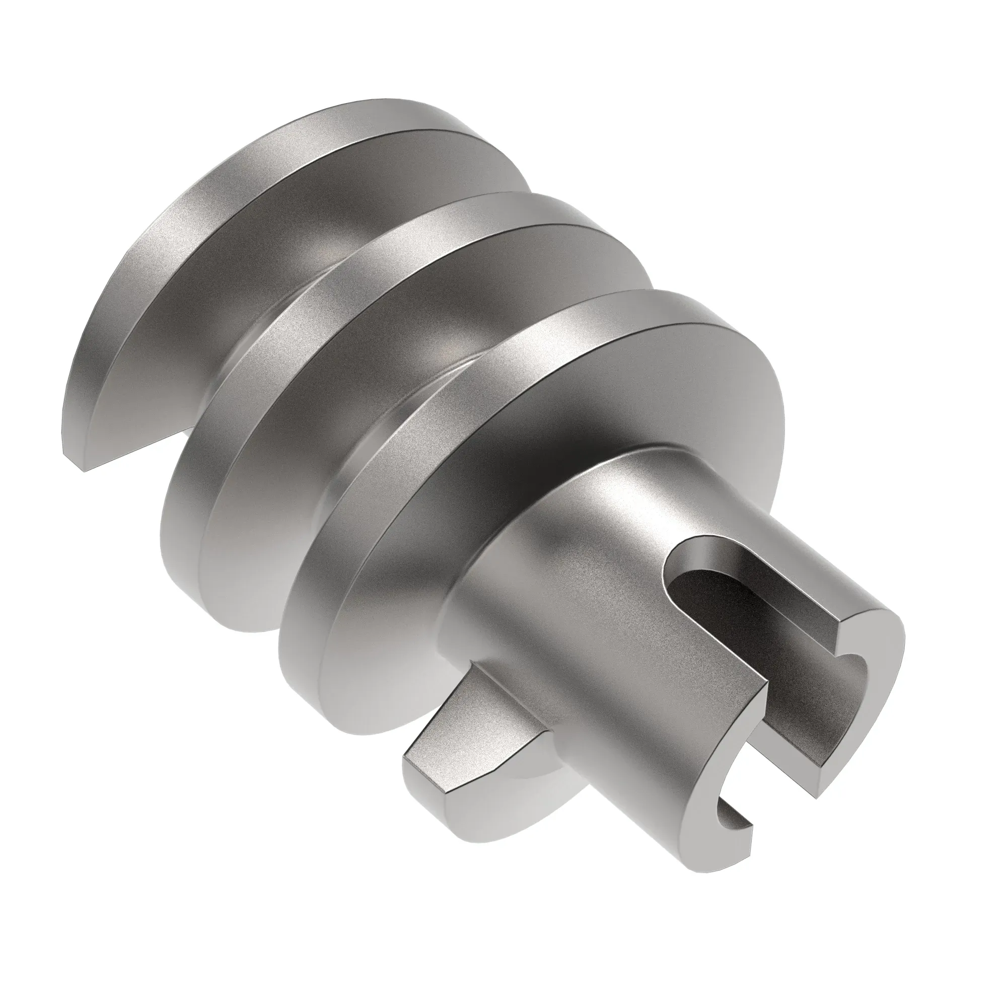 Worm Gear