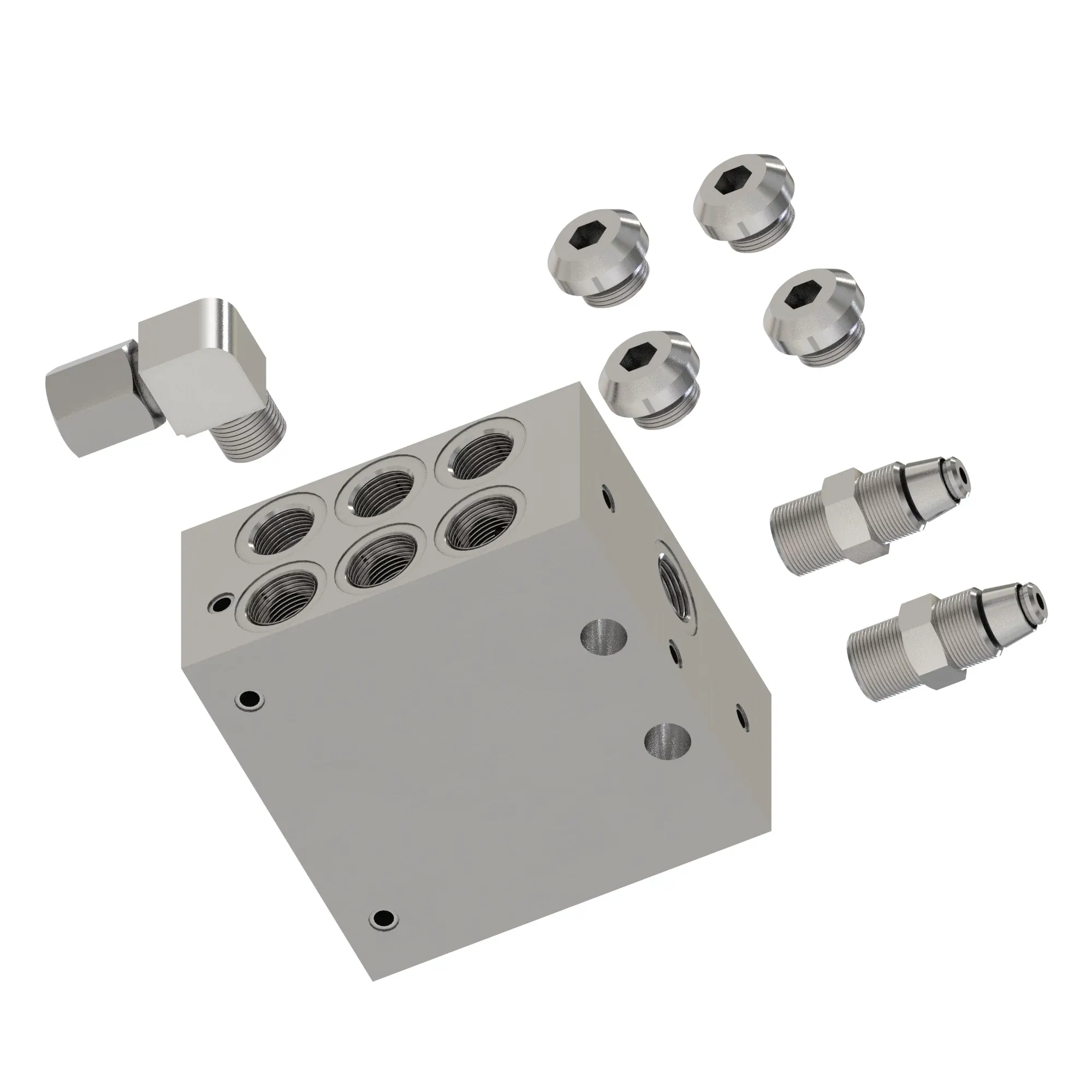 Manifold Kit