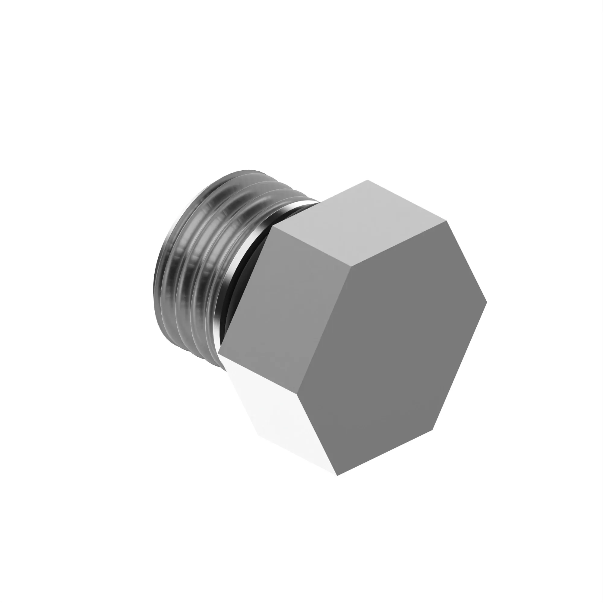 FITTING PLUG, WITH O-RING