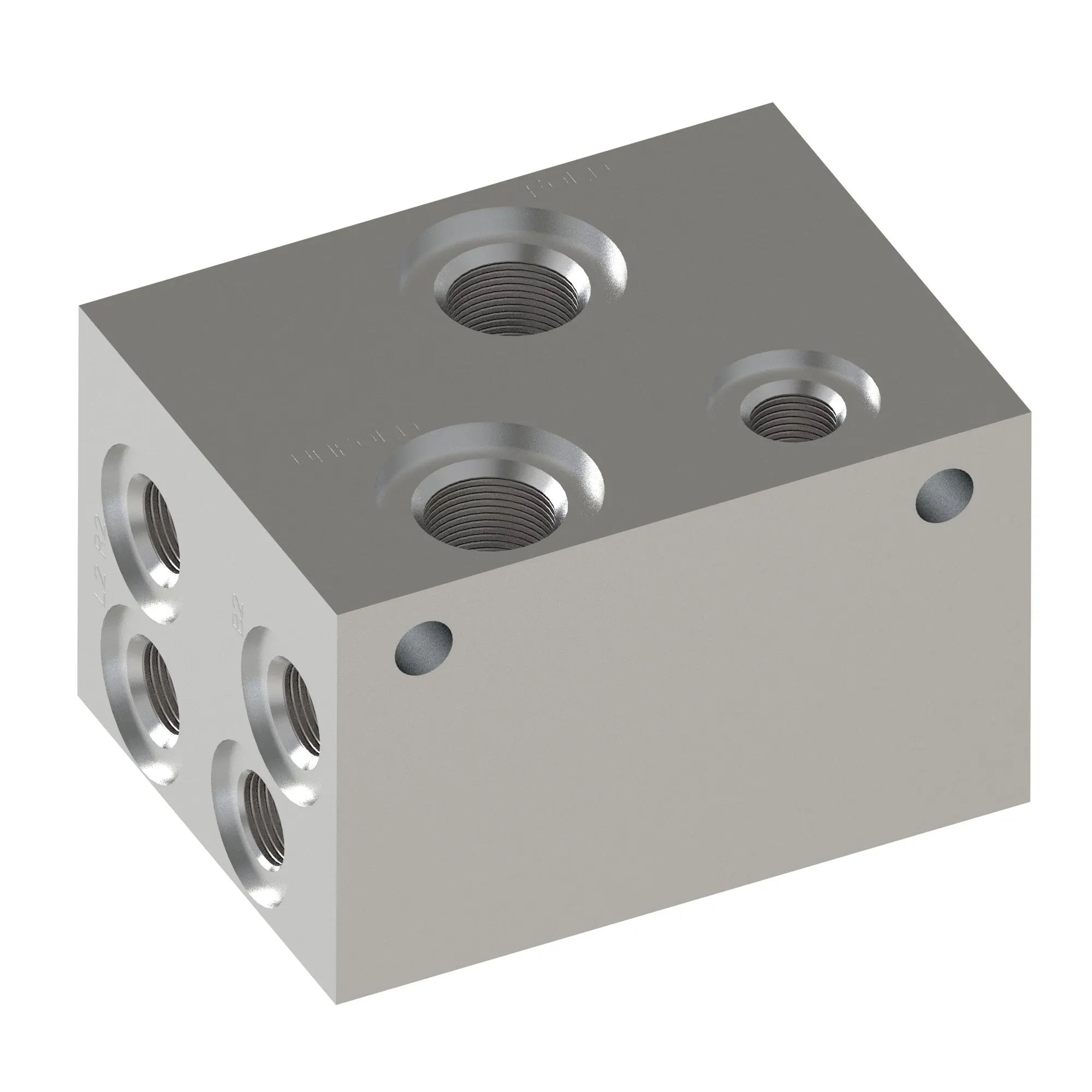 Manifold