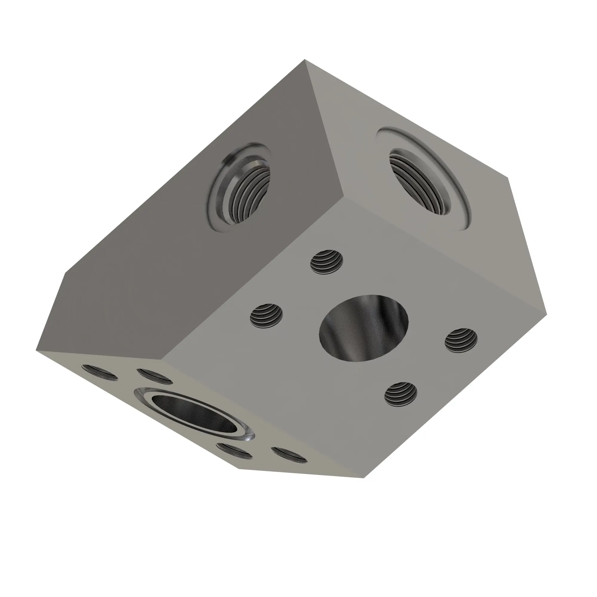 Manifold