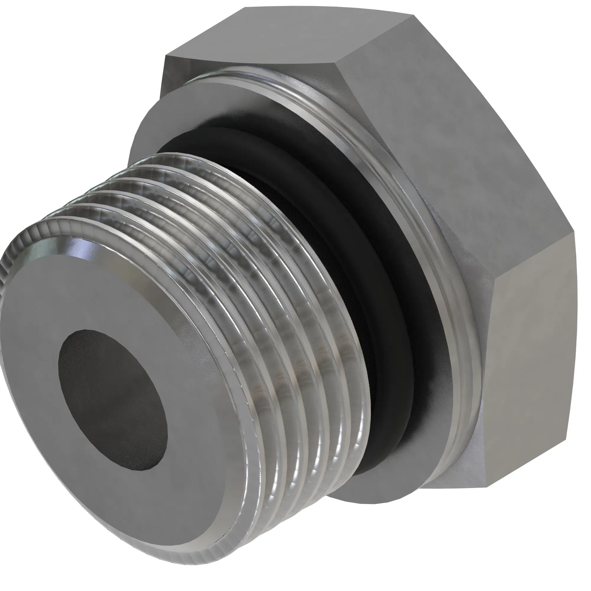 Fitting Plug