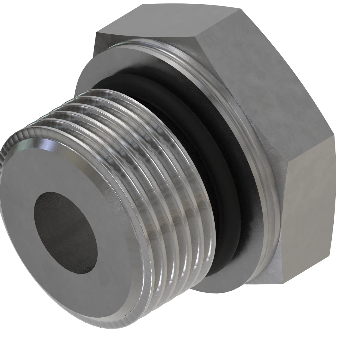 Fitting Plug