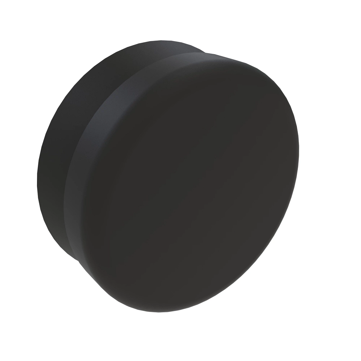 Cap, Dust