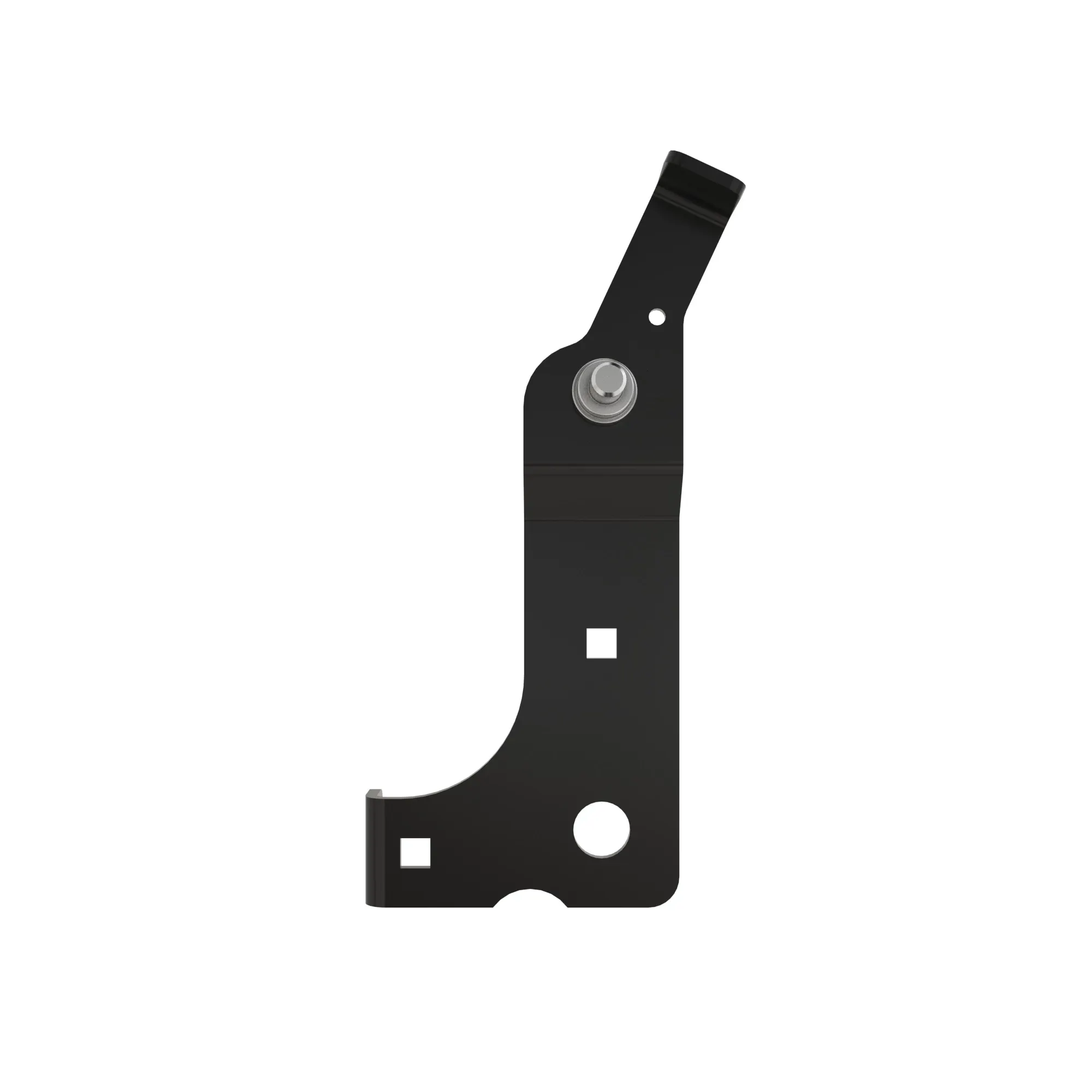 Arm