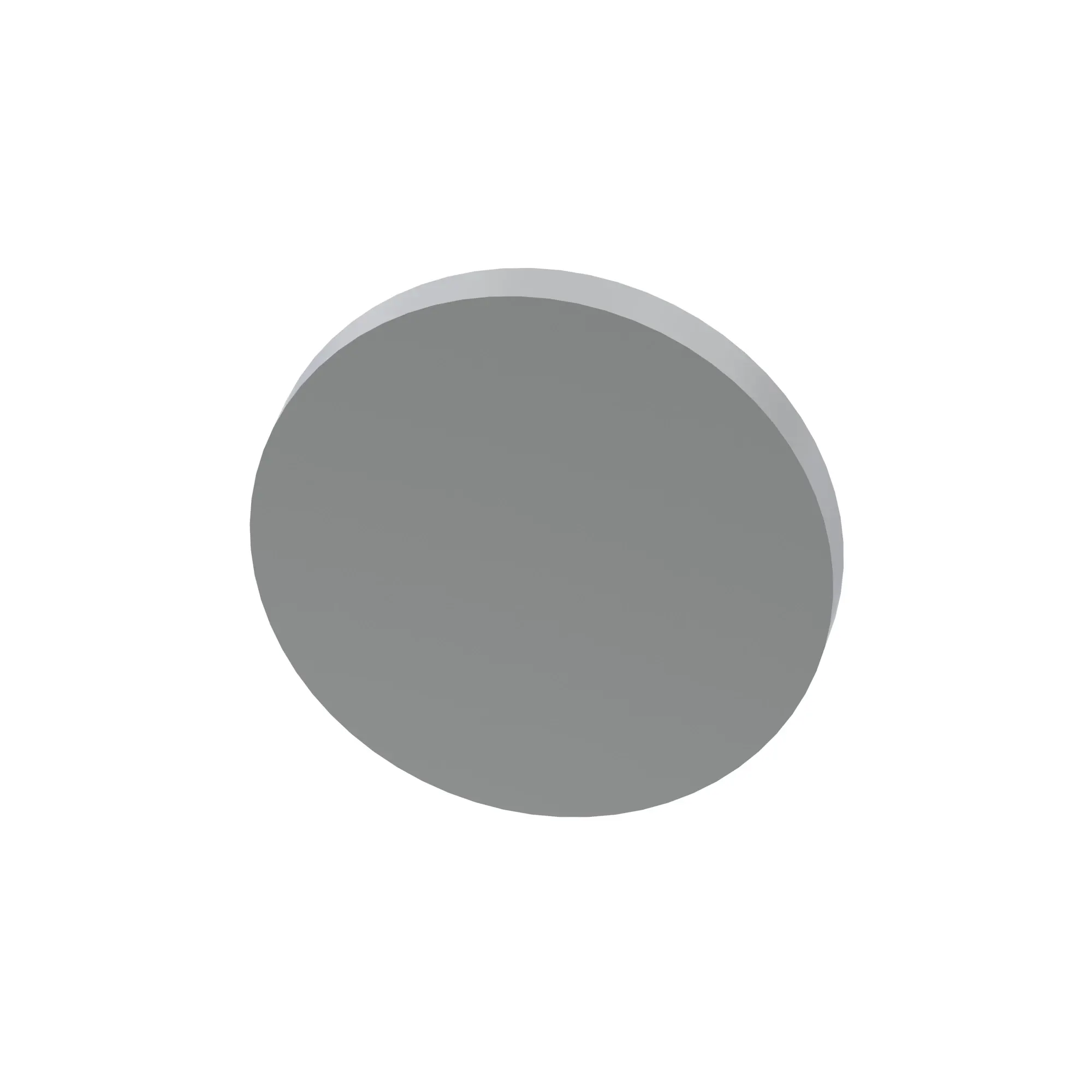 Disk