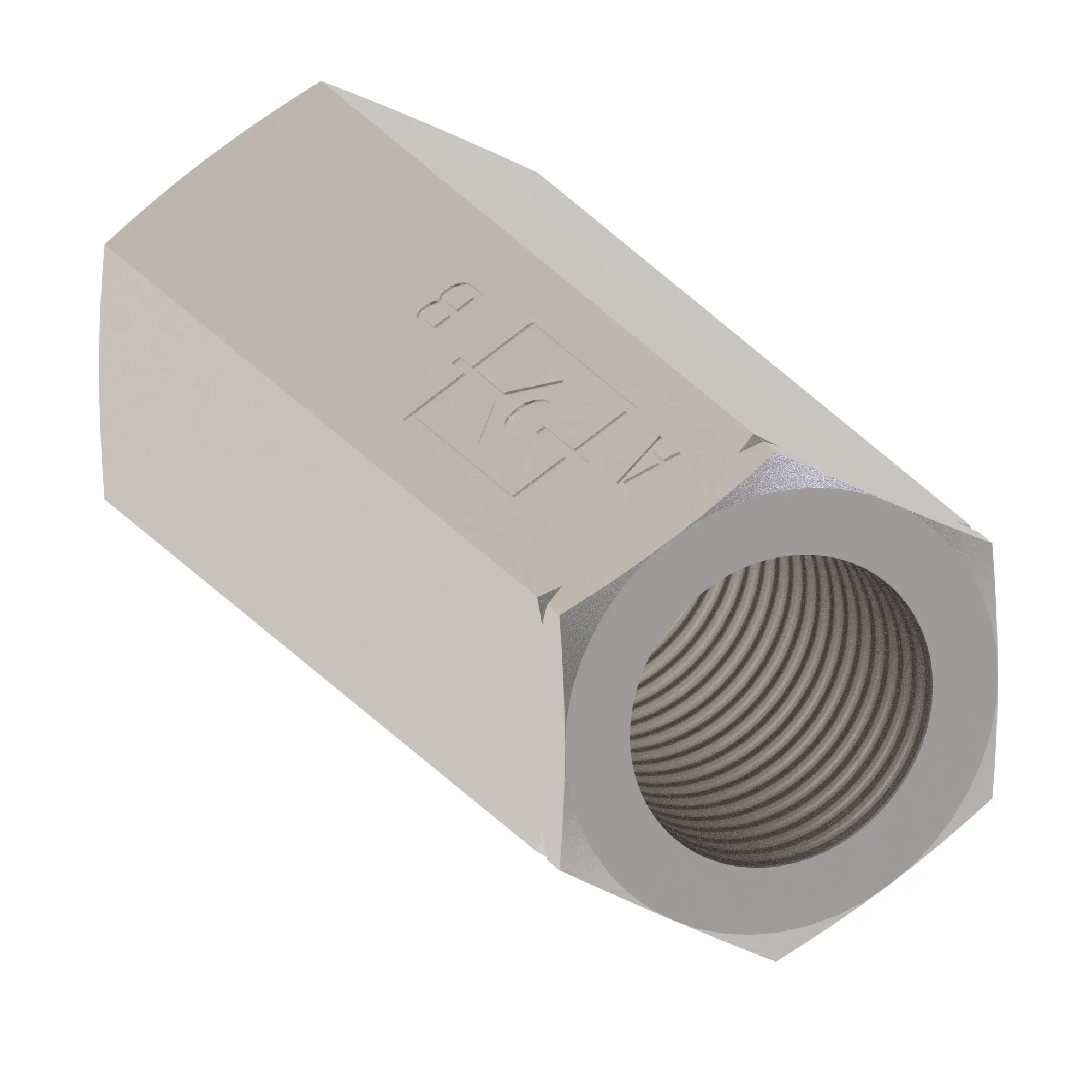Check Valve