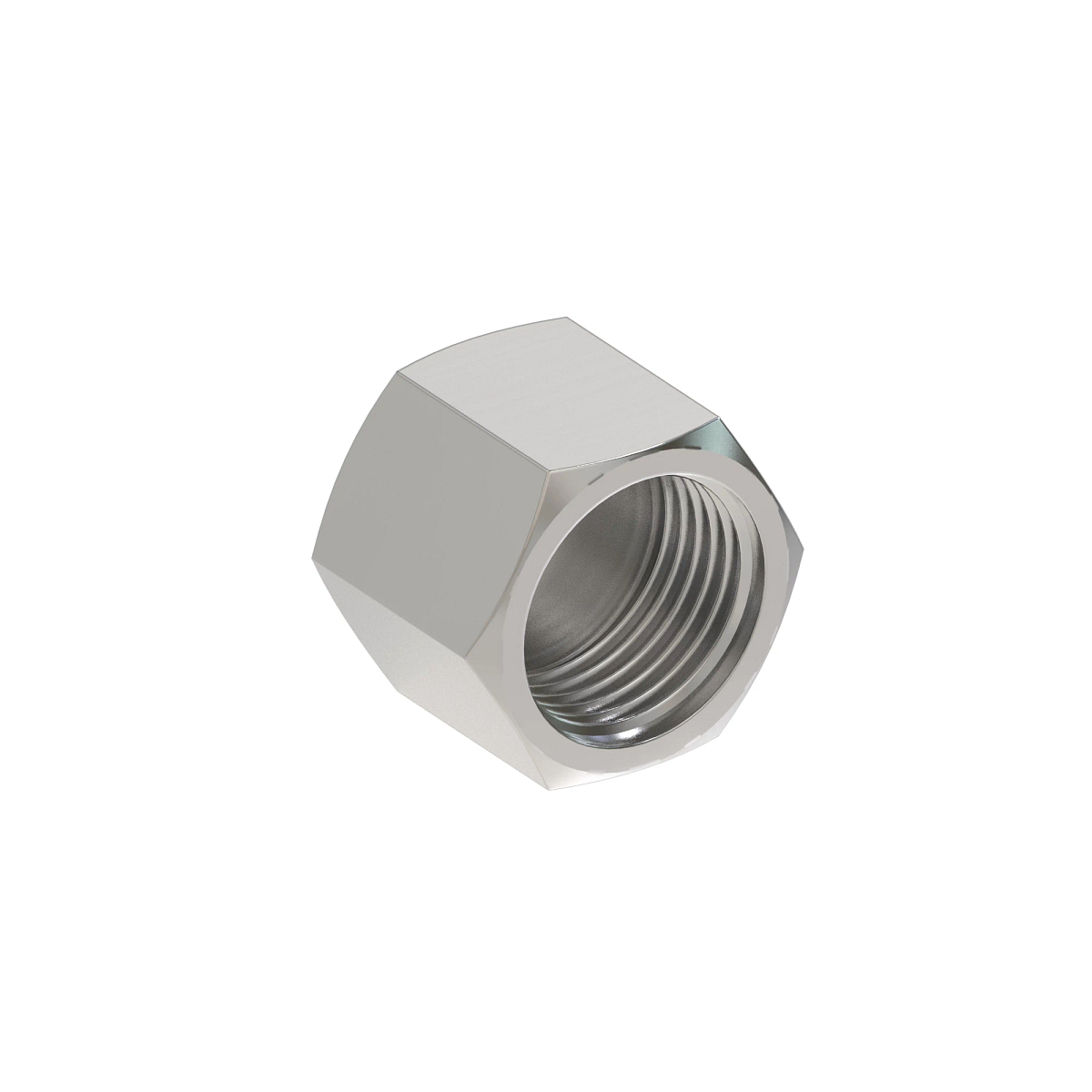 CAP ASSEMBLY, O-RING FSF