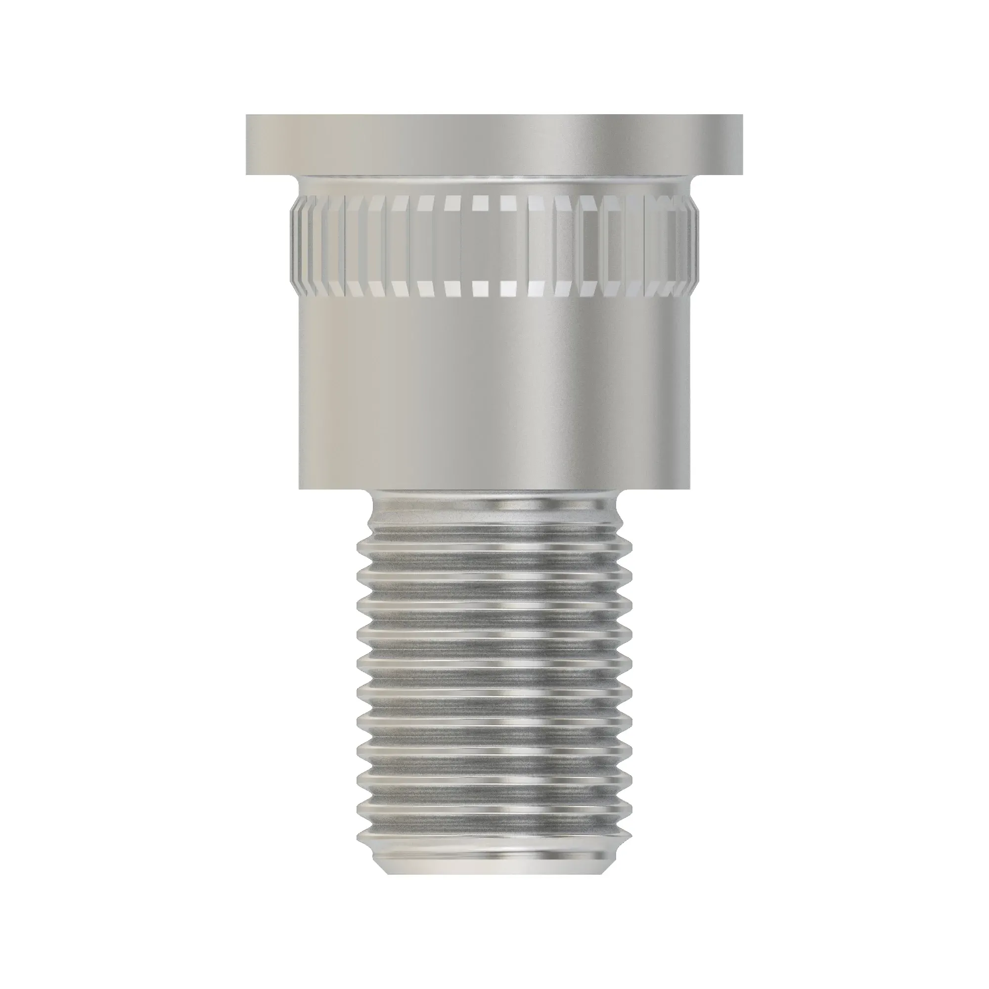 Wheel Bolt