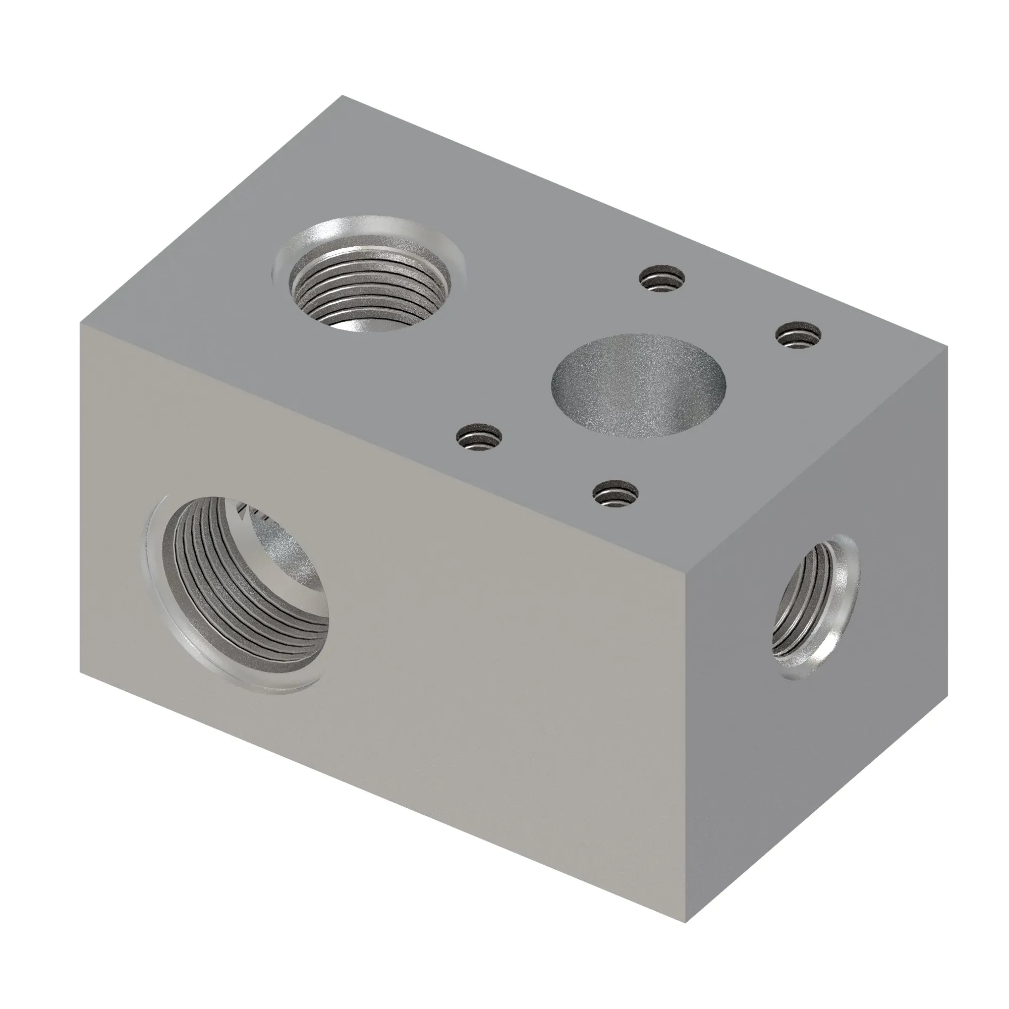 Manifold
