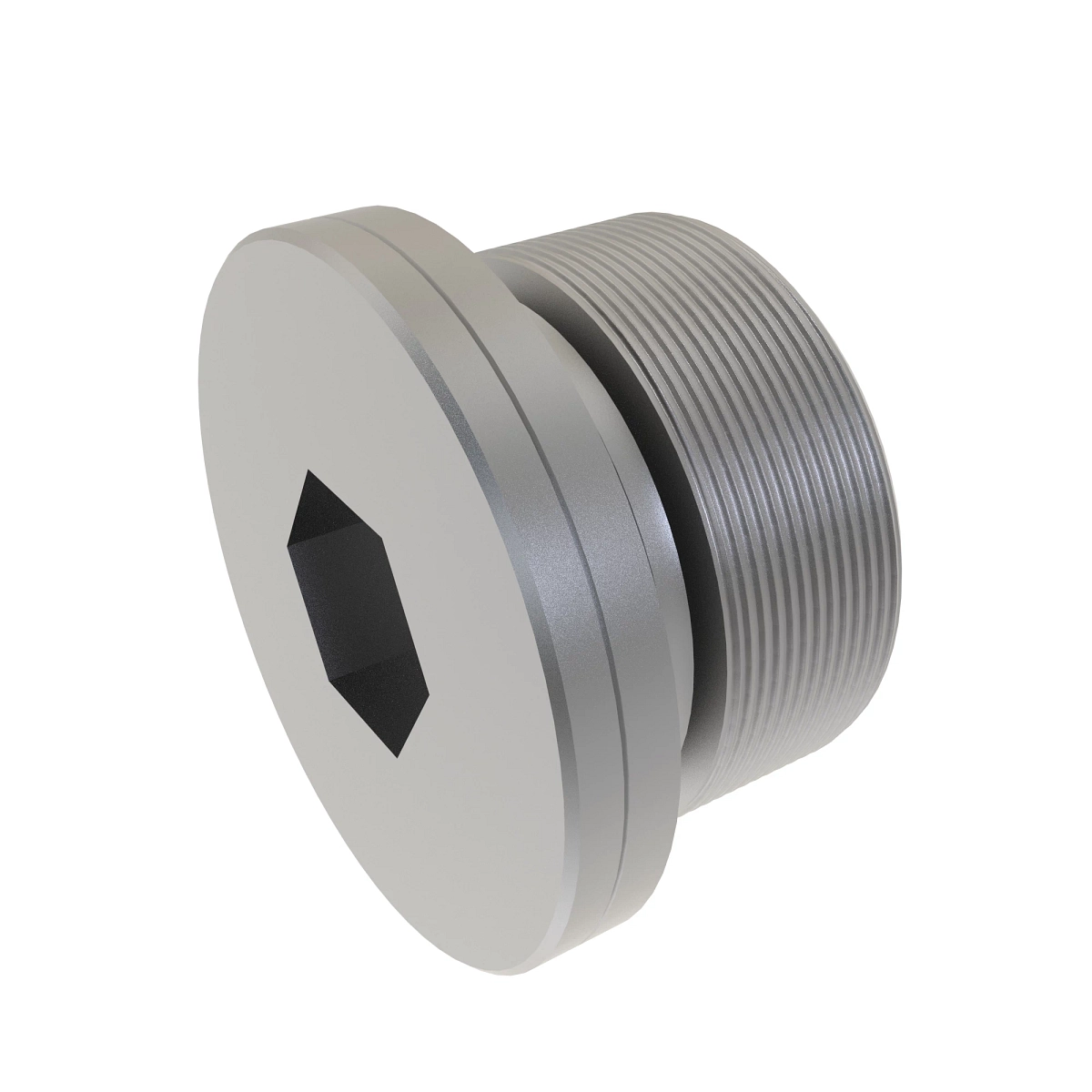 Plug, Metric (Plih) With O-Ring