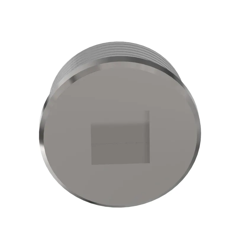 DRAIN PLUG, DRAIN PLUG WITH MAGNET