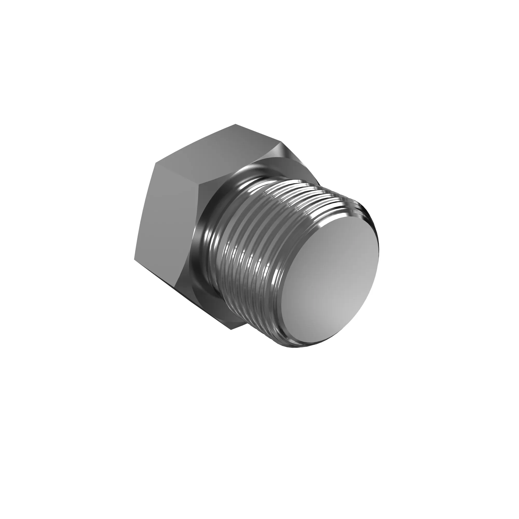 Fitting Plug