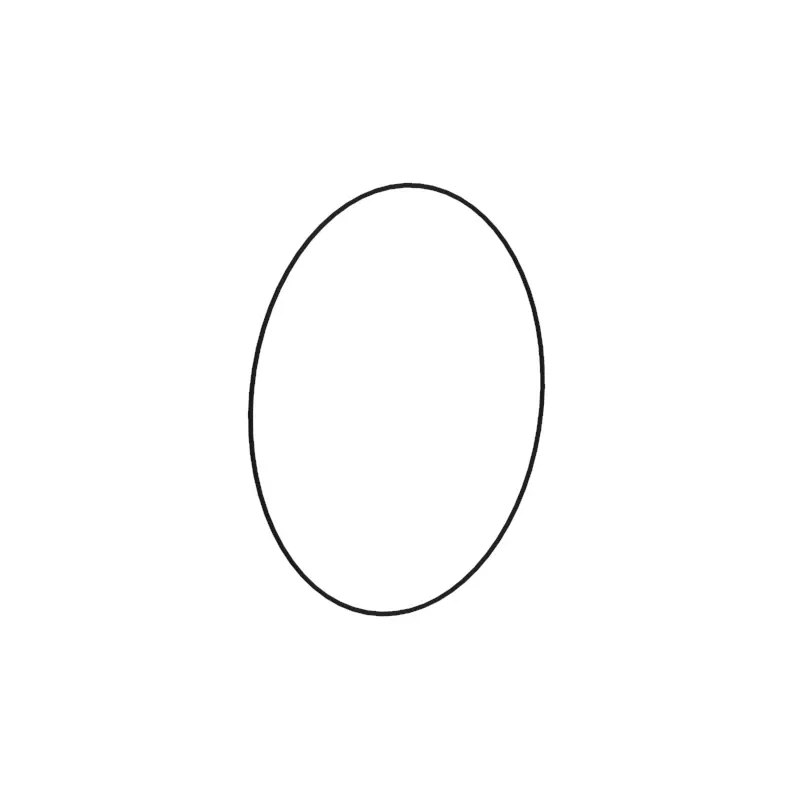 O-Ring
