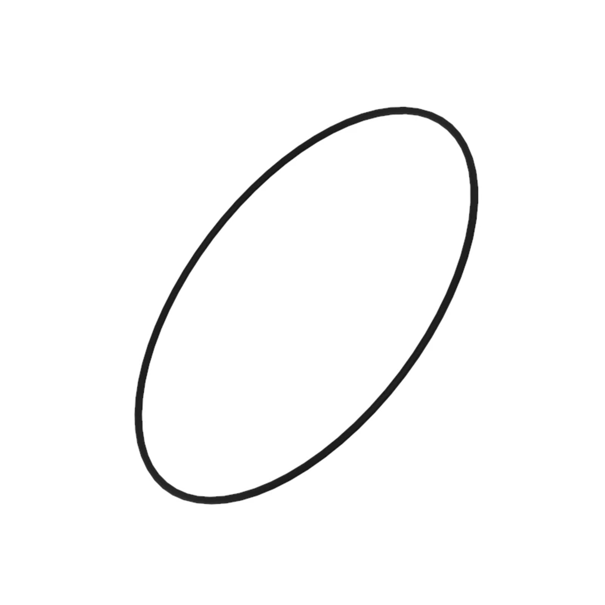 O-RING
