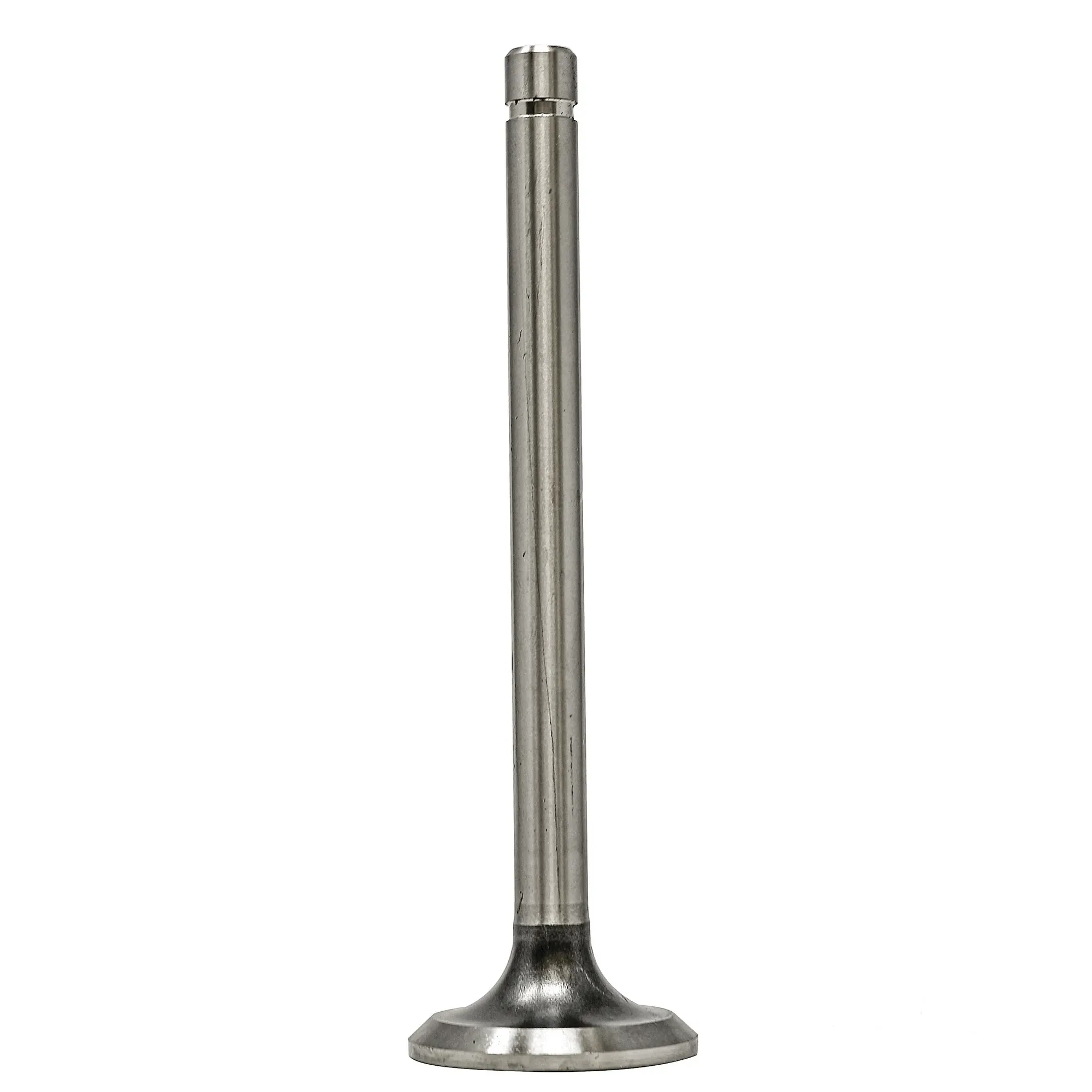 Exhaust Valve