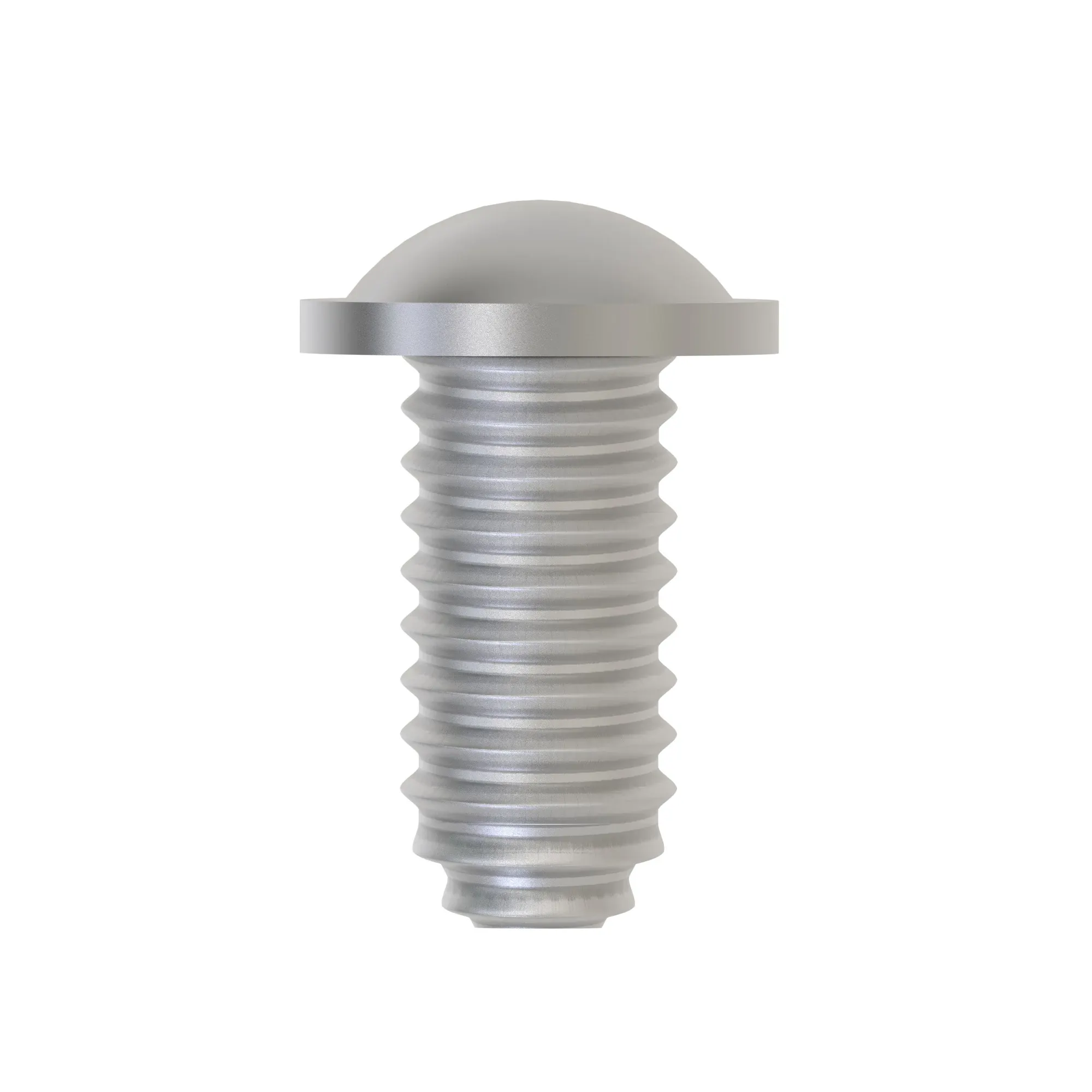 OVAL HEAD CAP SCREW F 5X12 DIN7981