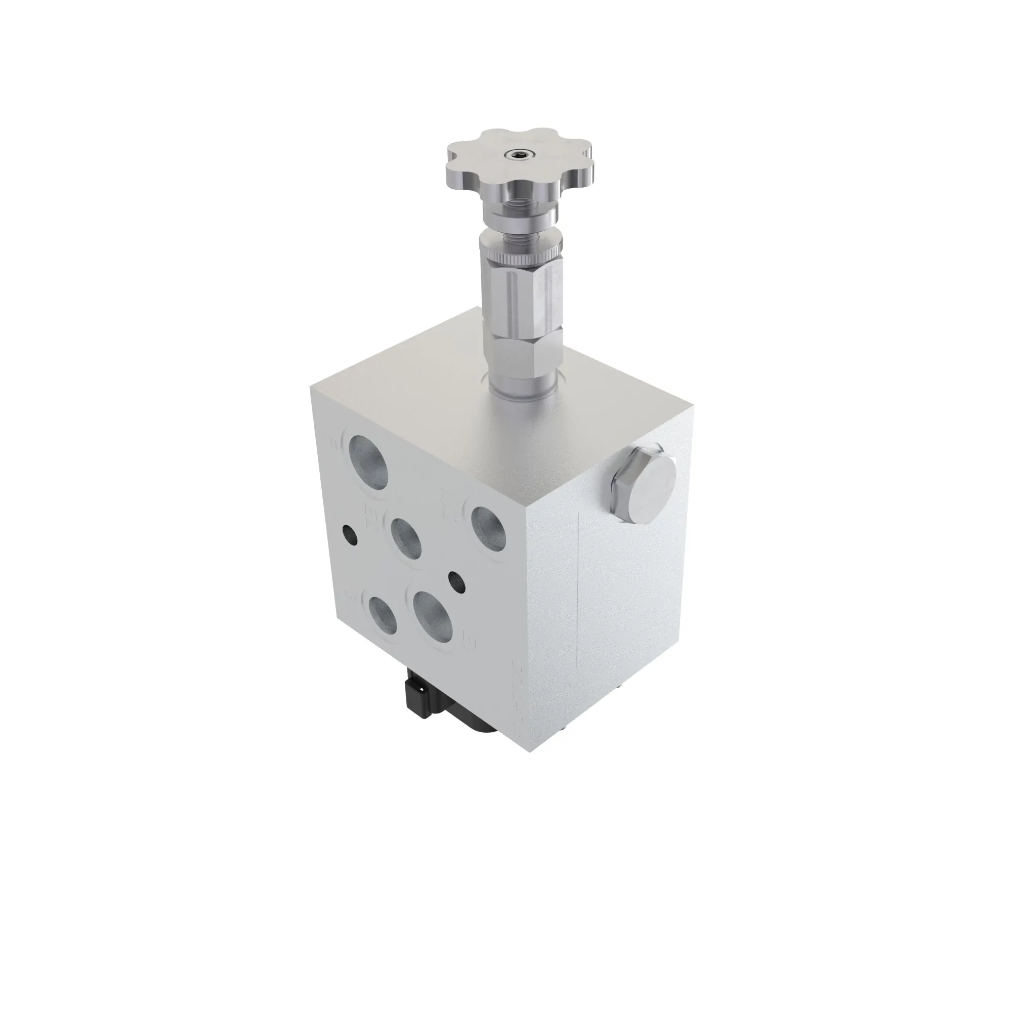 VALVE DENSITE V4X1M