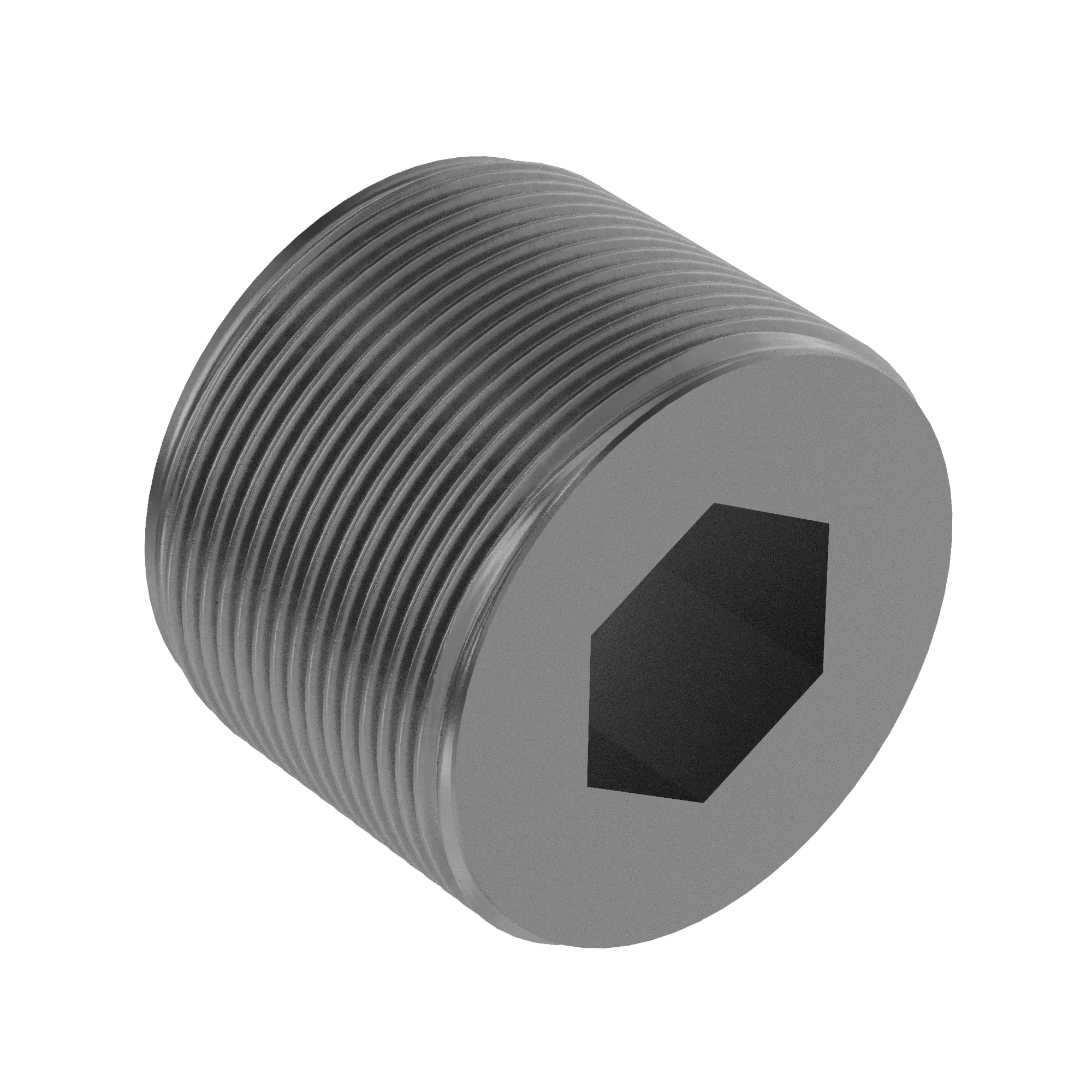 F202008: Pipe Plug