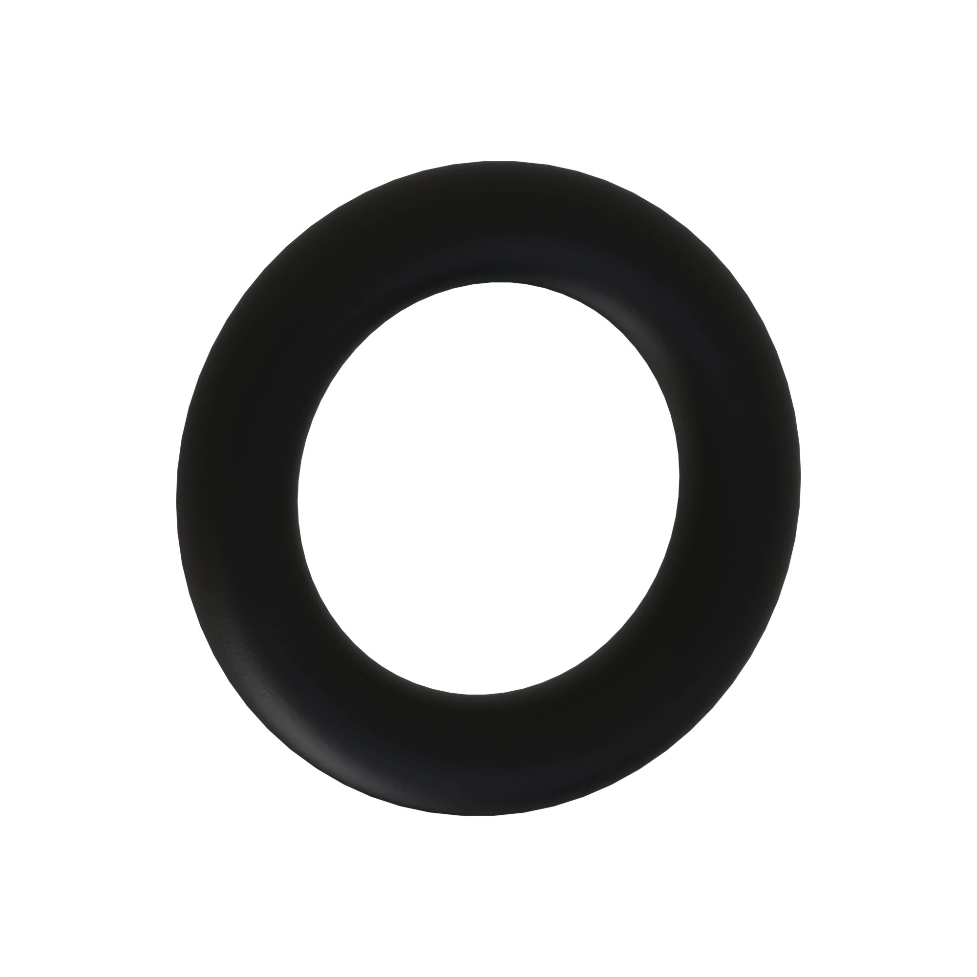 O-RING, ARP010