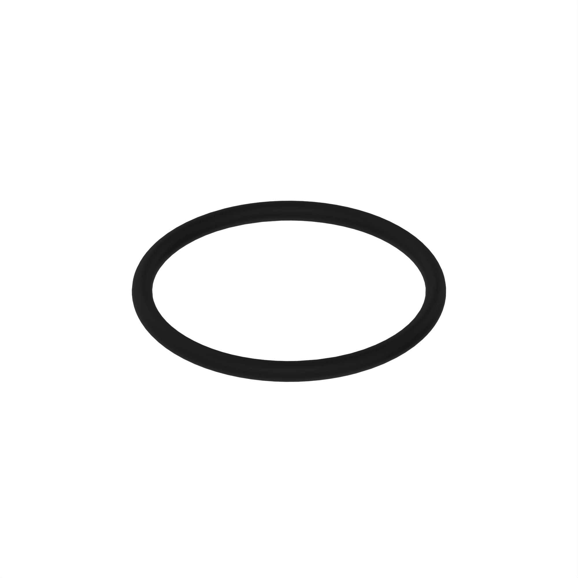 R55453: O-Ring