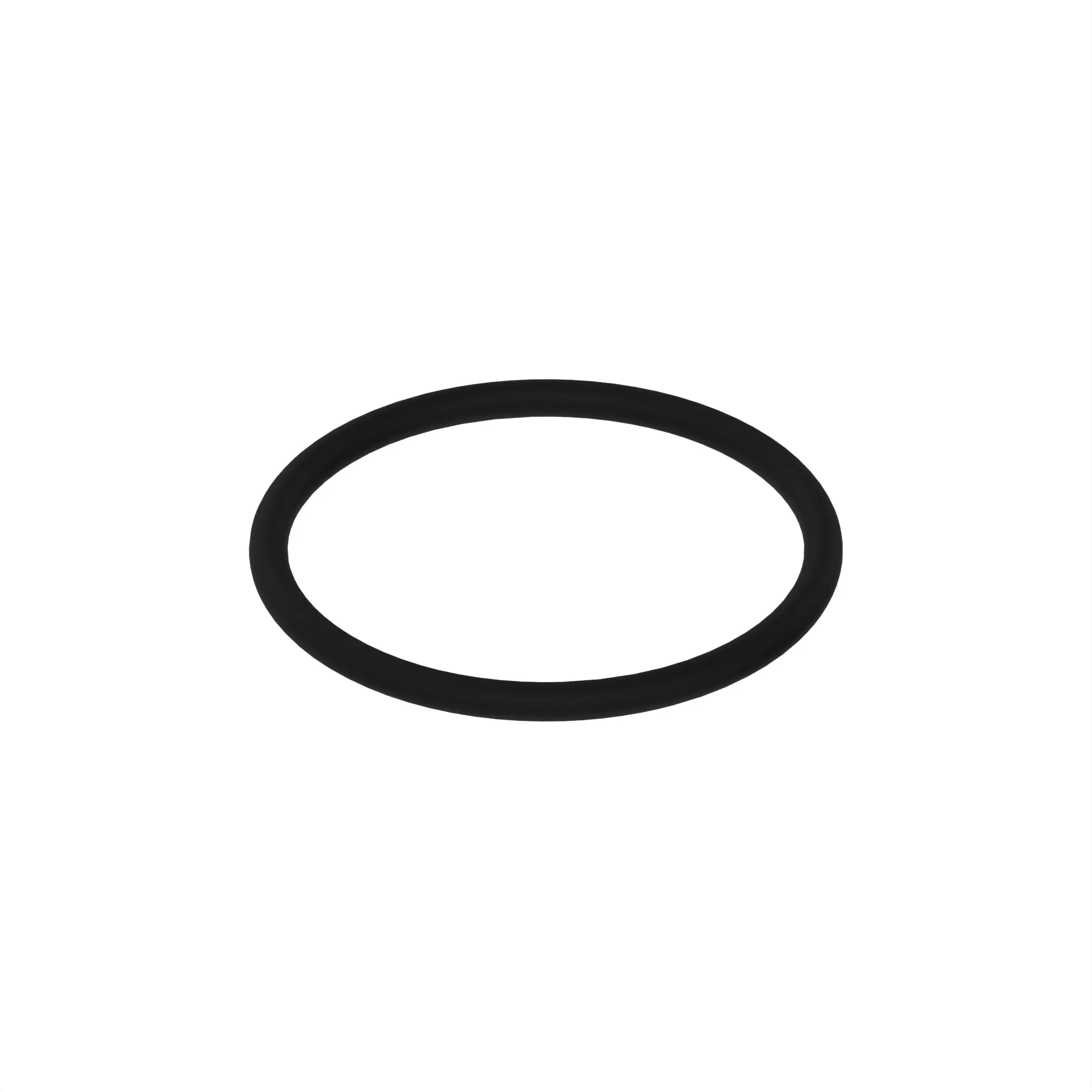 R55453: O-Ring