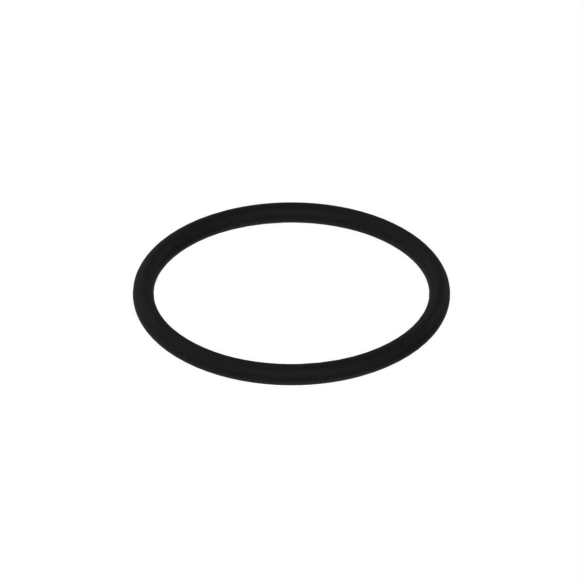 R55453: O-Ring