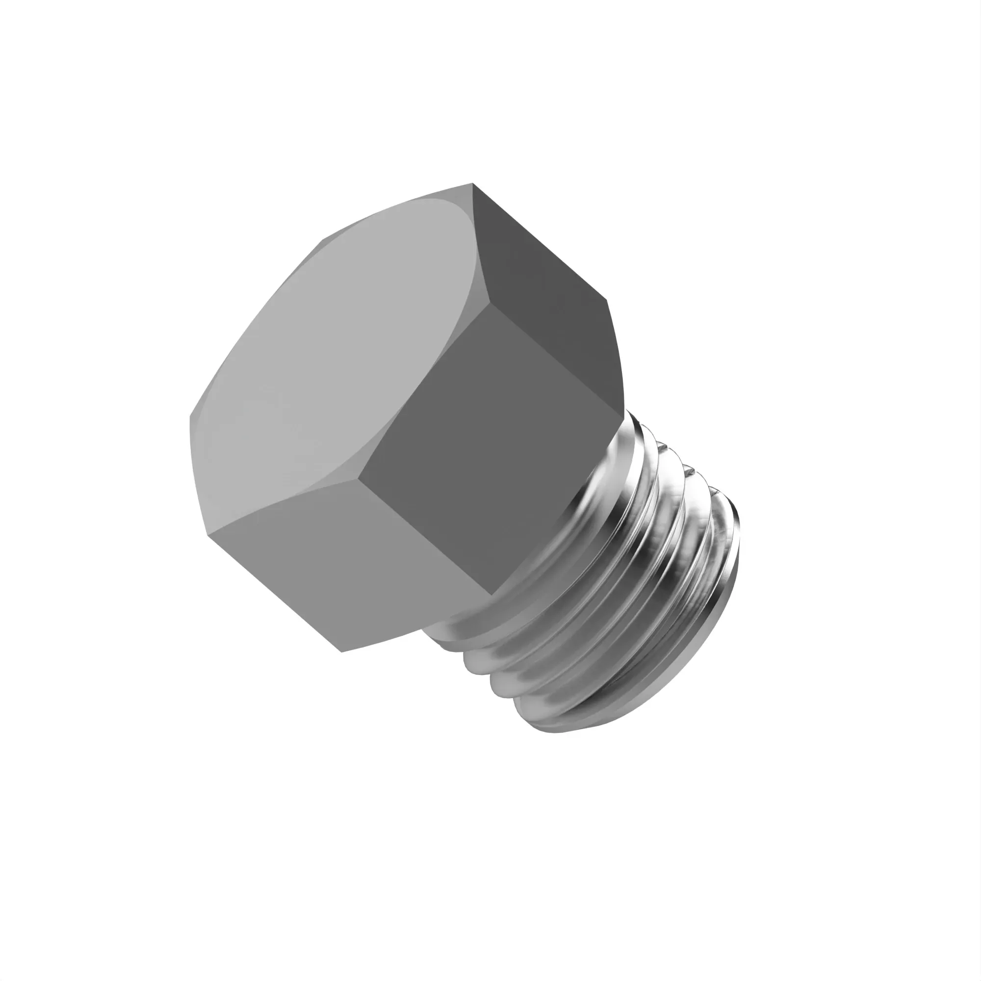 Fitting Plug
