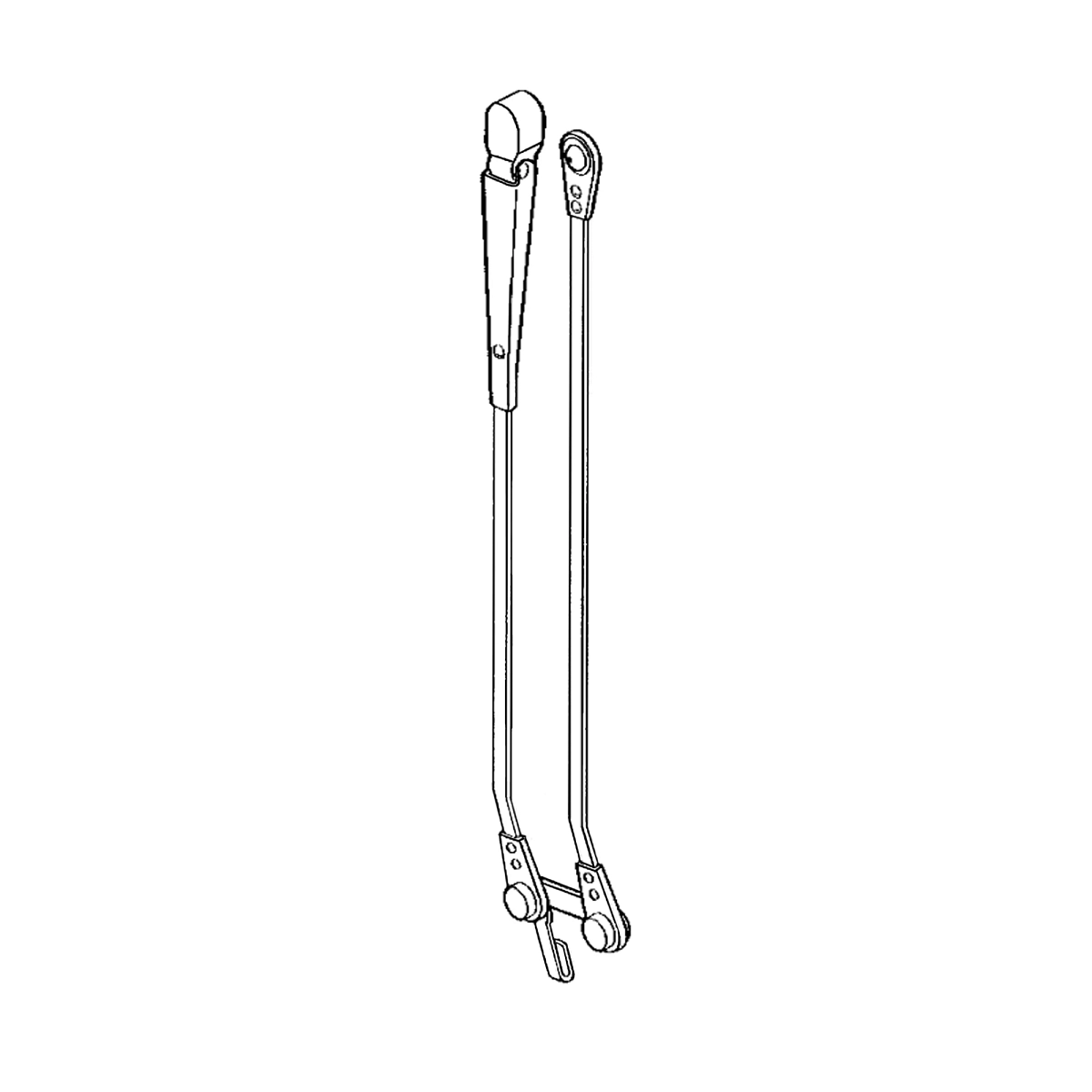 Arm