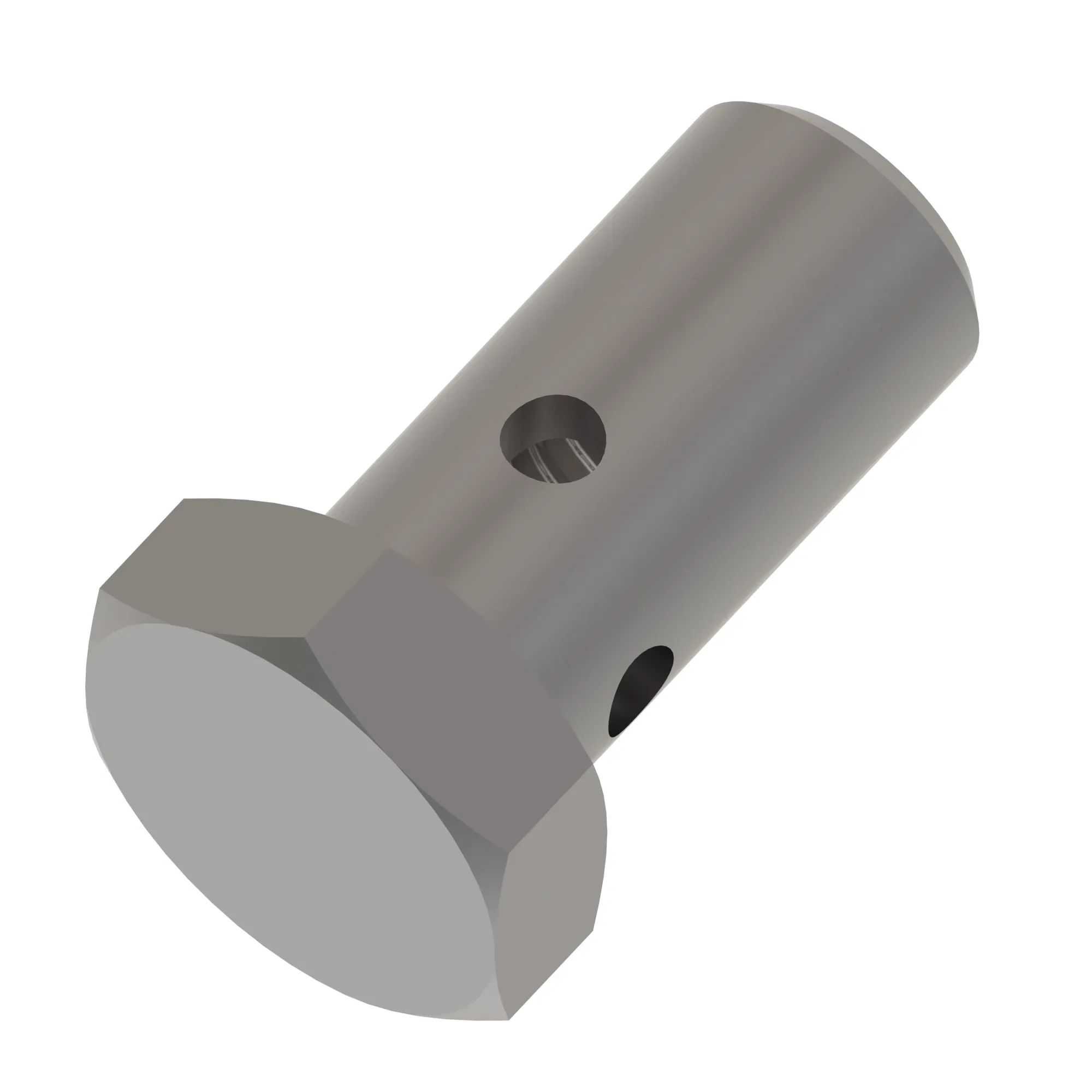 Hollow Screw