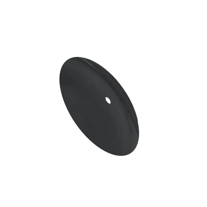 Disk