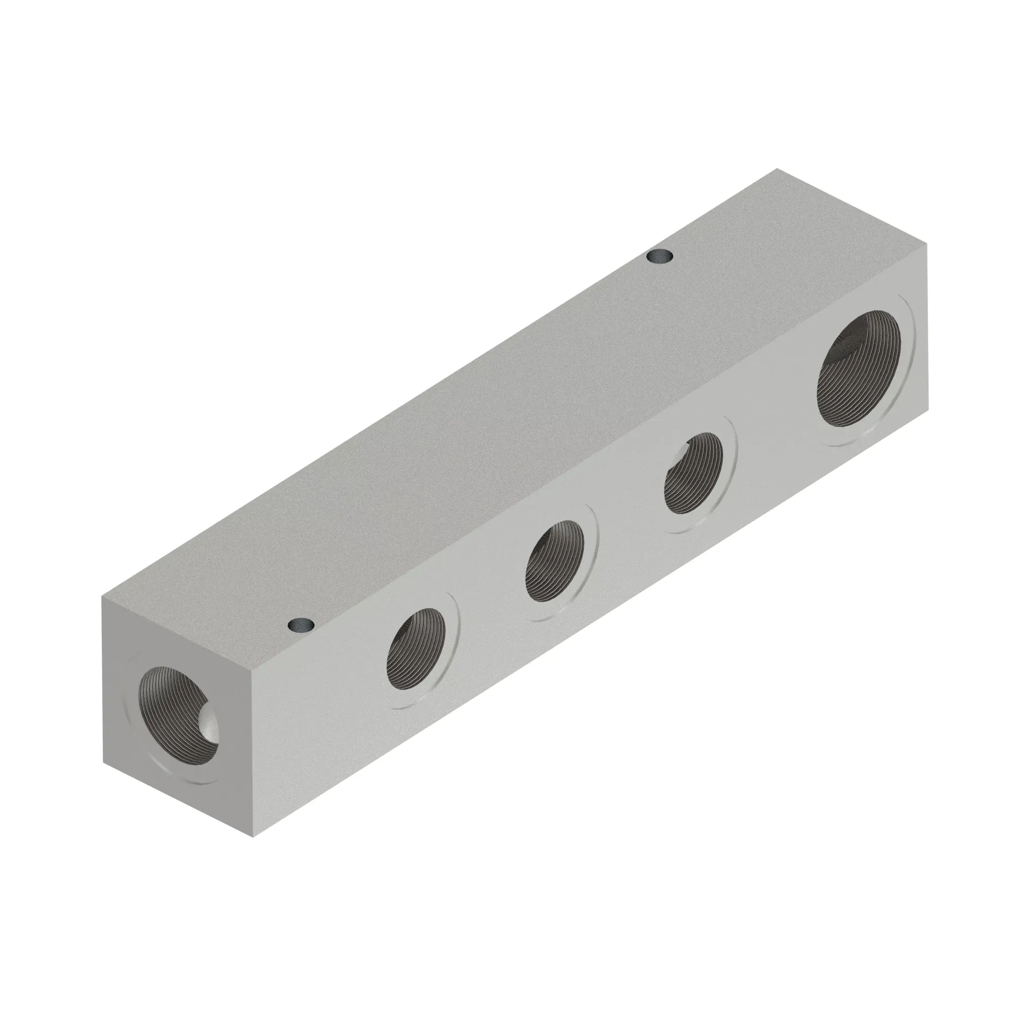 Manifold