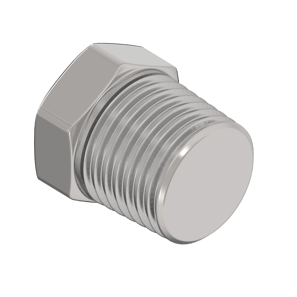 Fitting, Plug, 1/4-19 Bspt