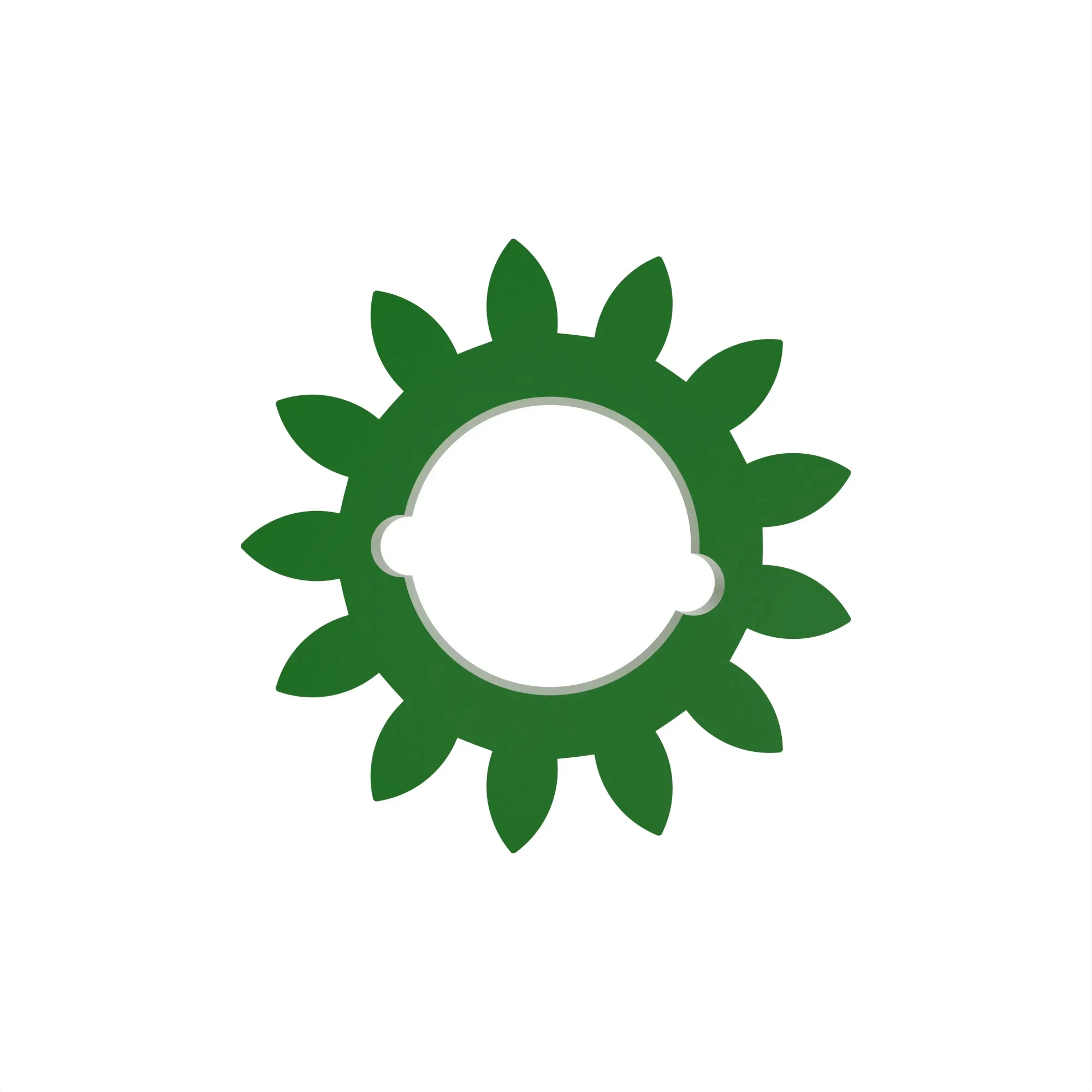 Spur Gear