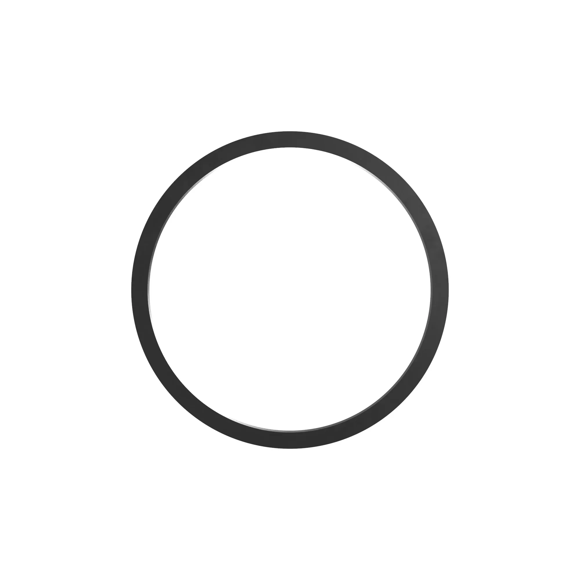 Snap Ring
