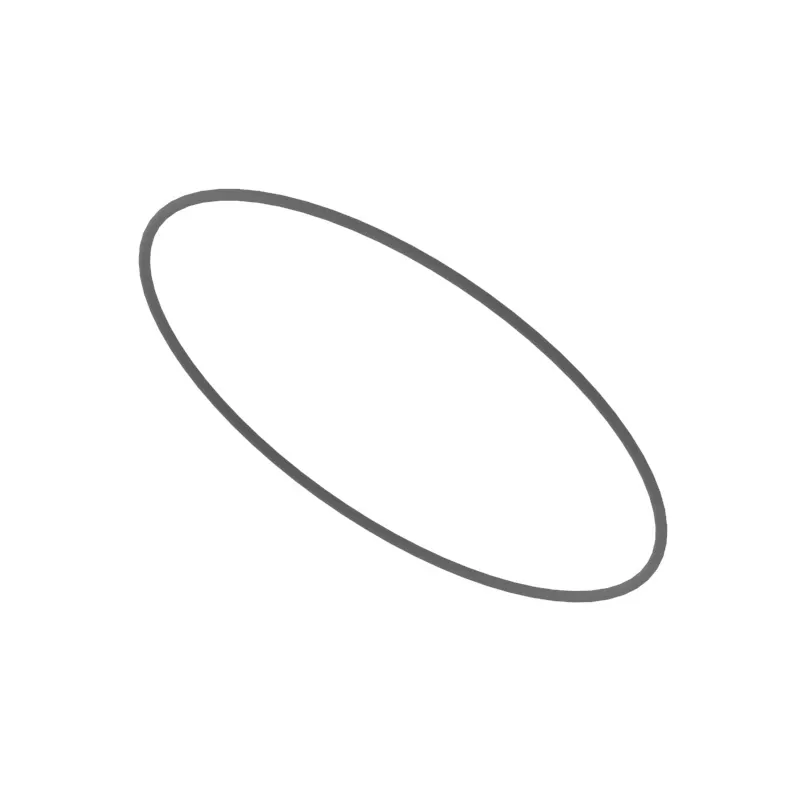 O-Ring