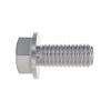 Screw
