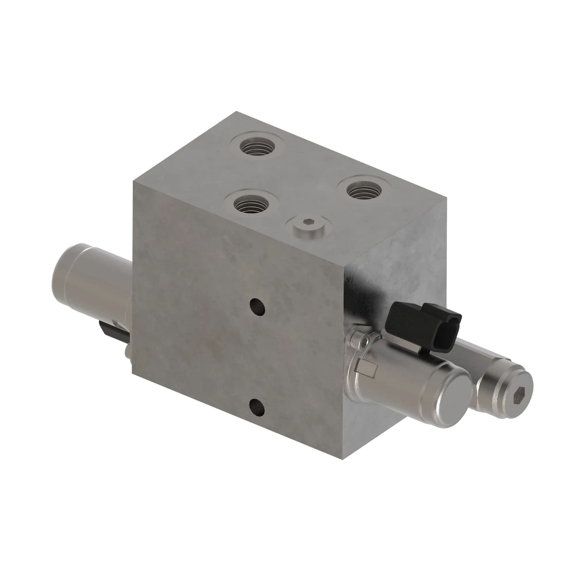 Manifold
