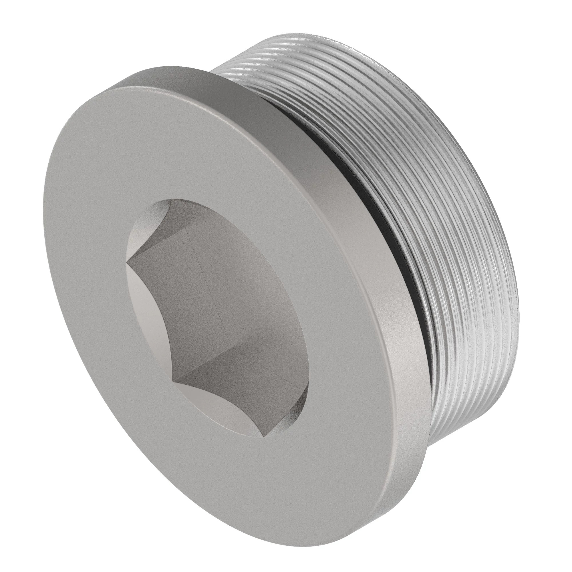 SCREW PLUG, M42X1.5 WITH O-RING