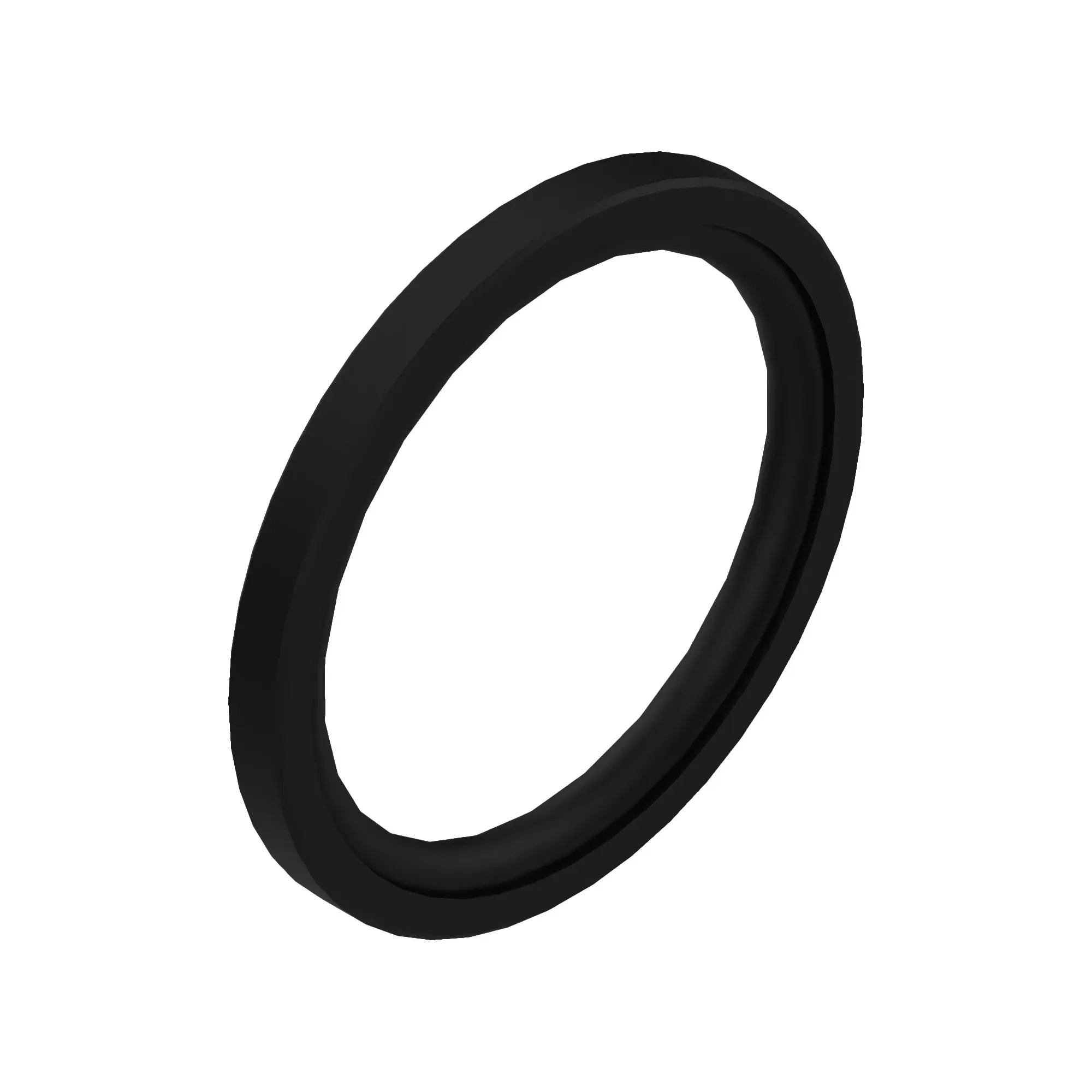 Sealing Ring