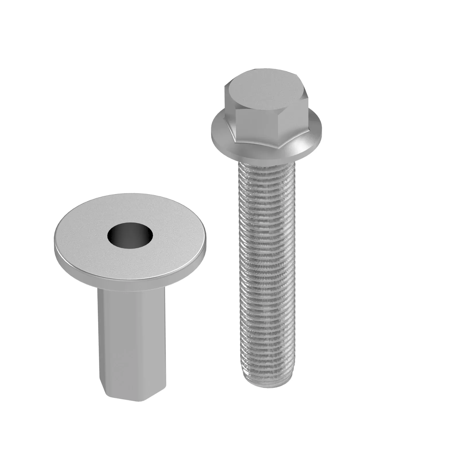 Cap Screw And Nut