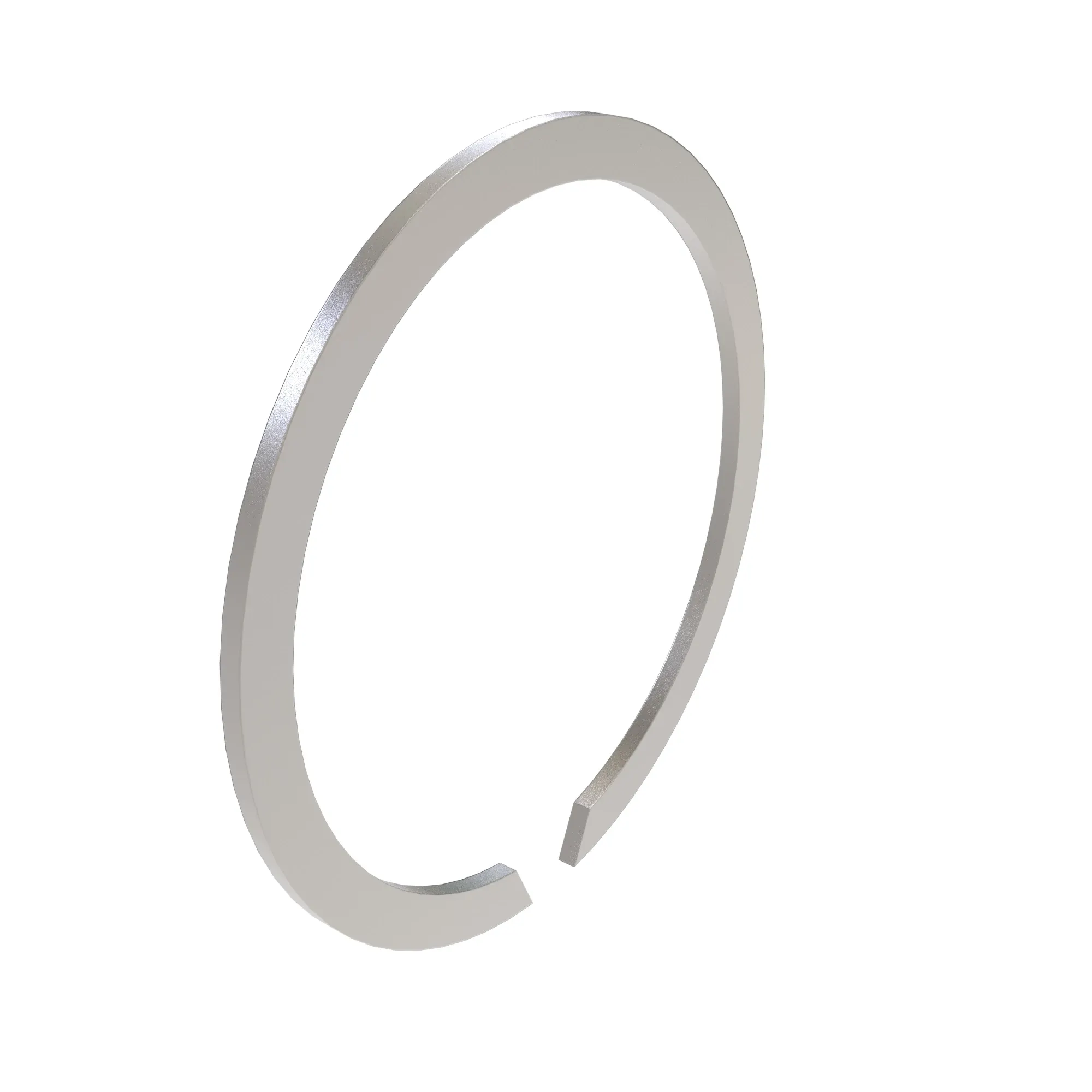 Snap Ring
