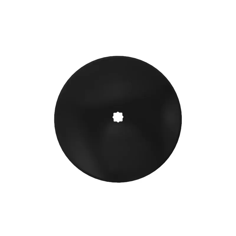 Disk