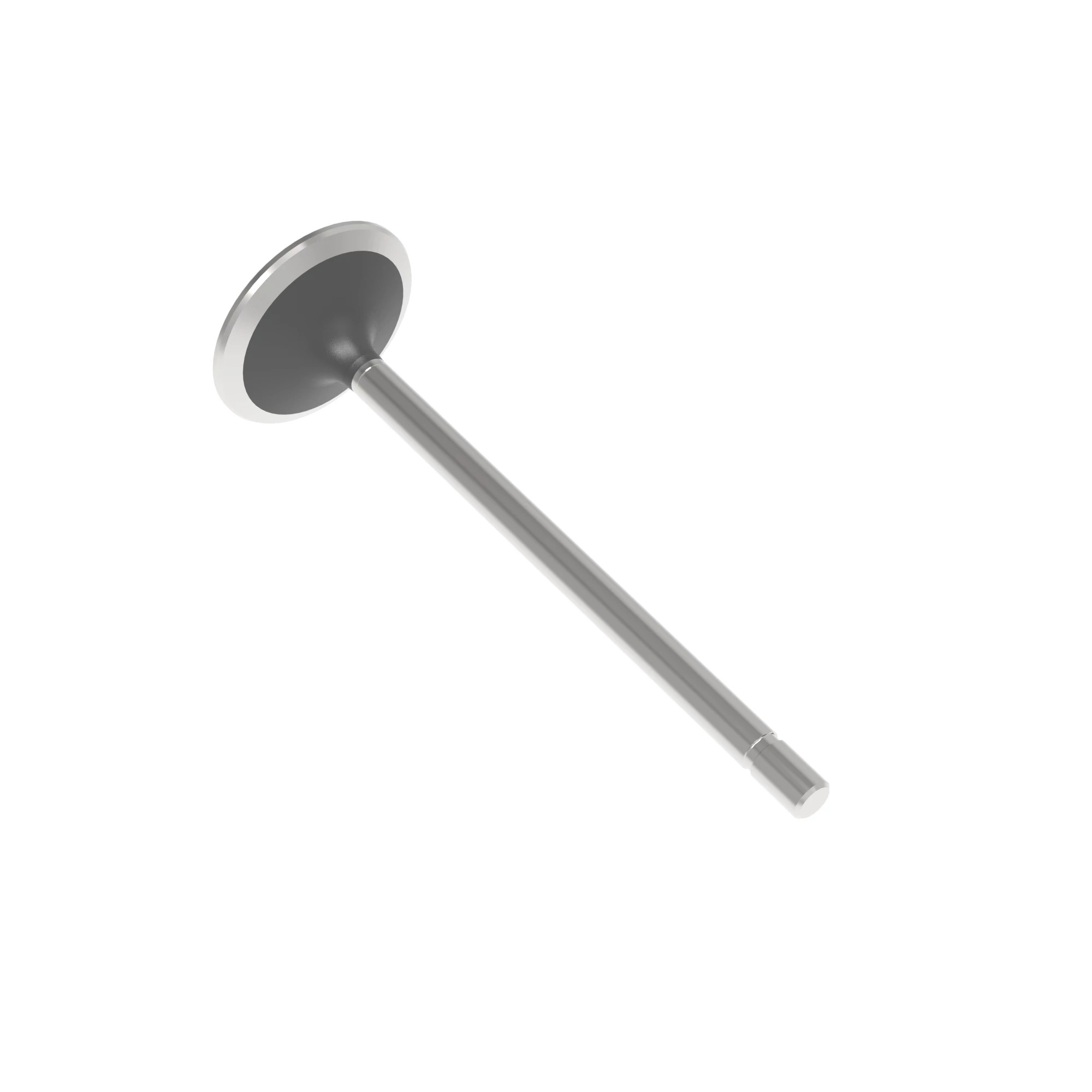 INTAKE VALVE
