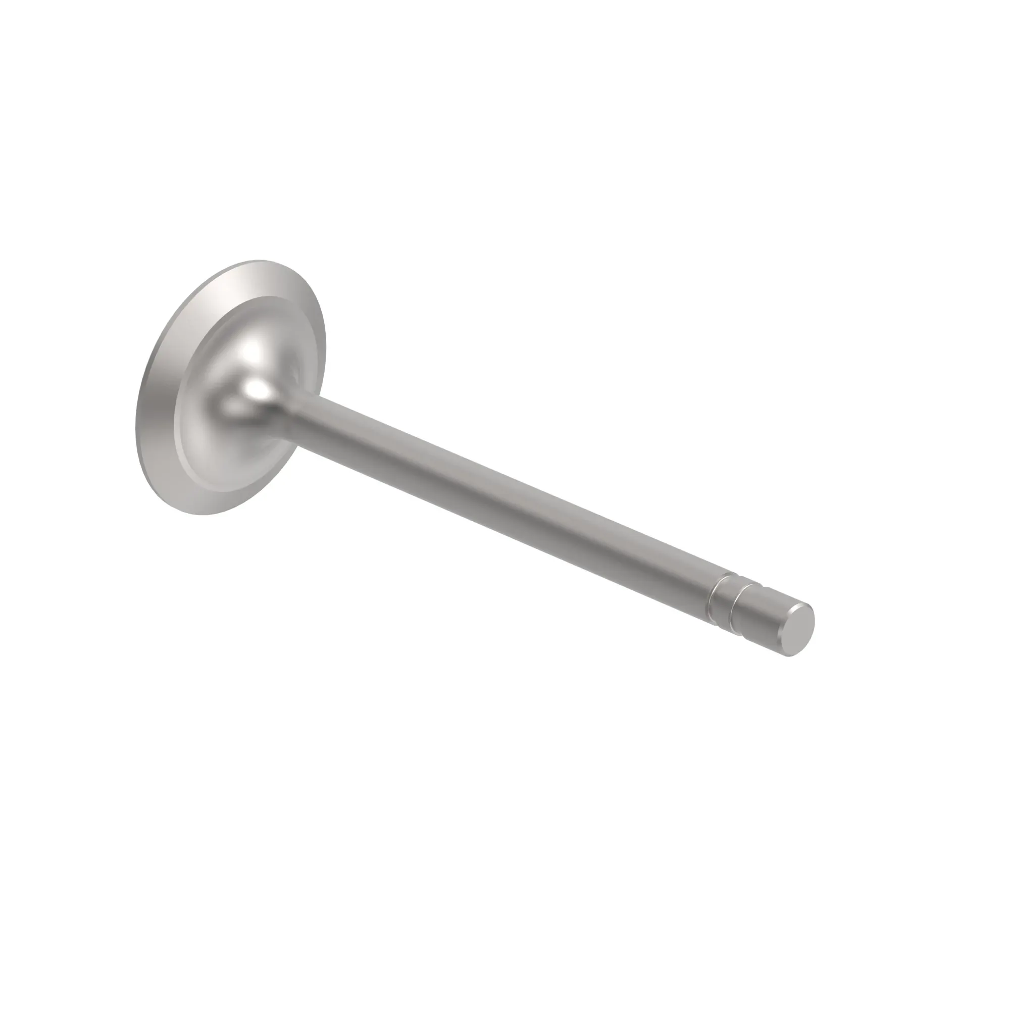 Intake Valve