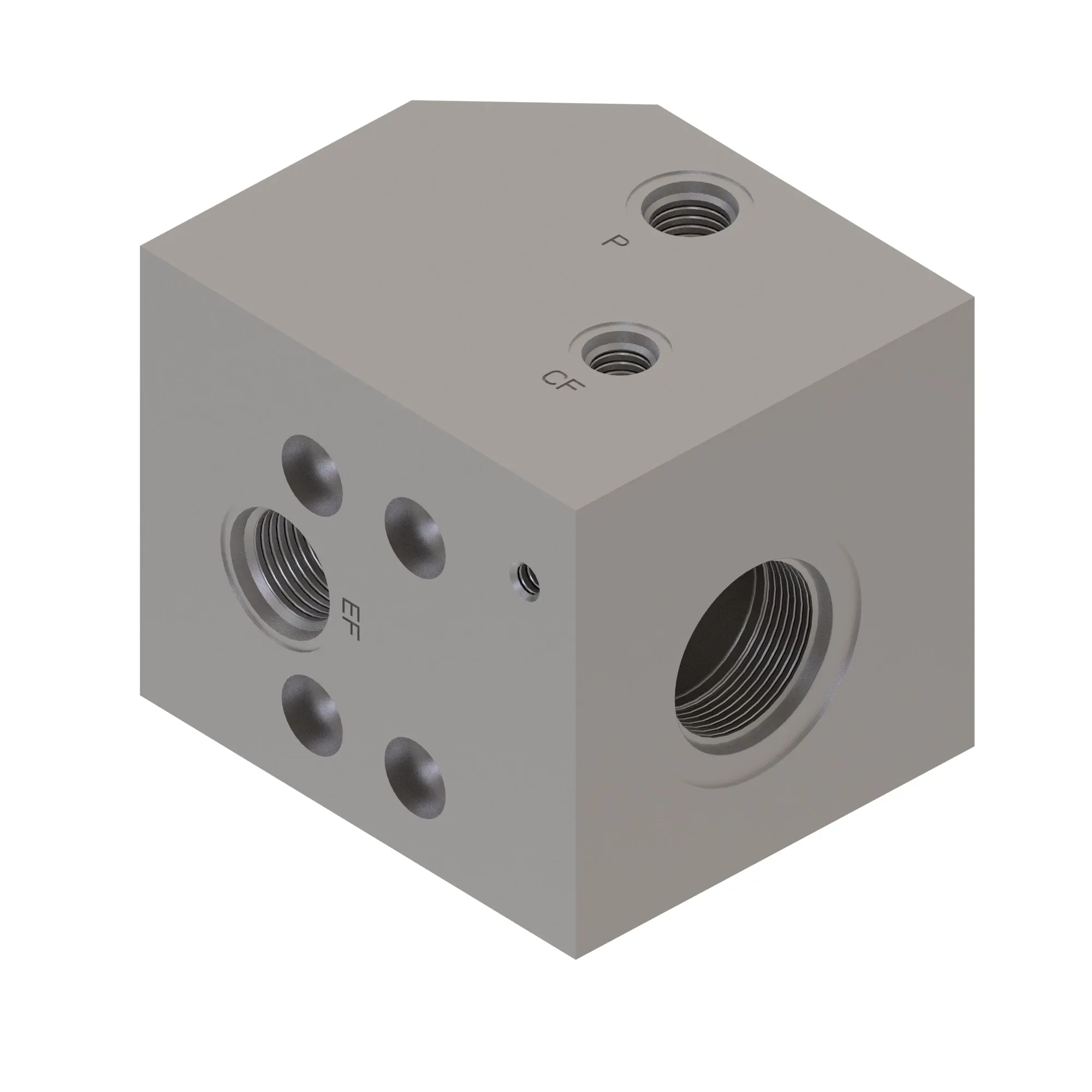 Manifold