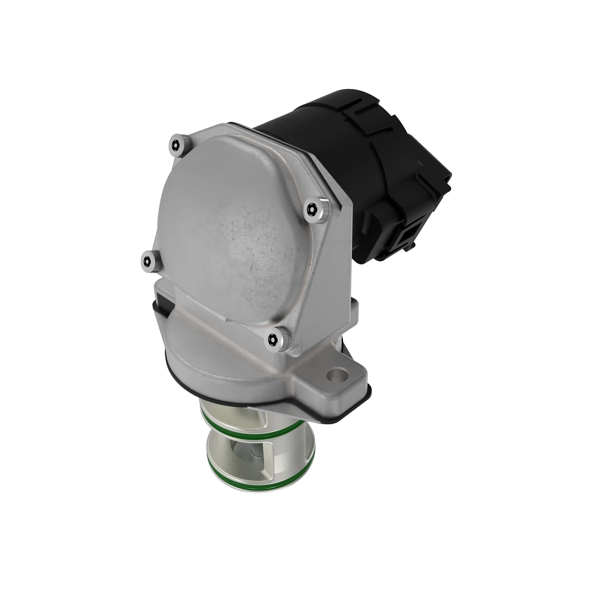 Exhaust Gas Recycling Valve